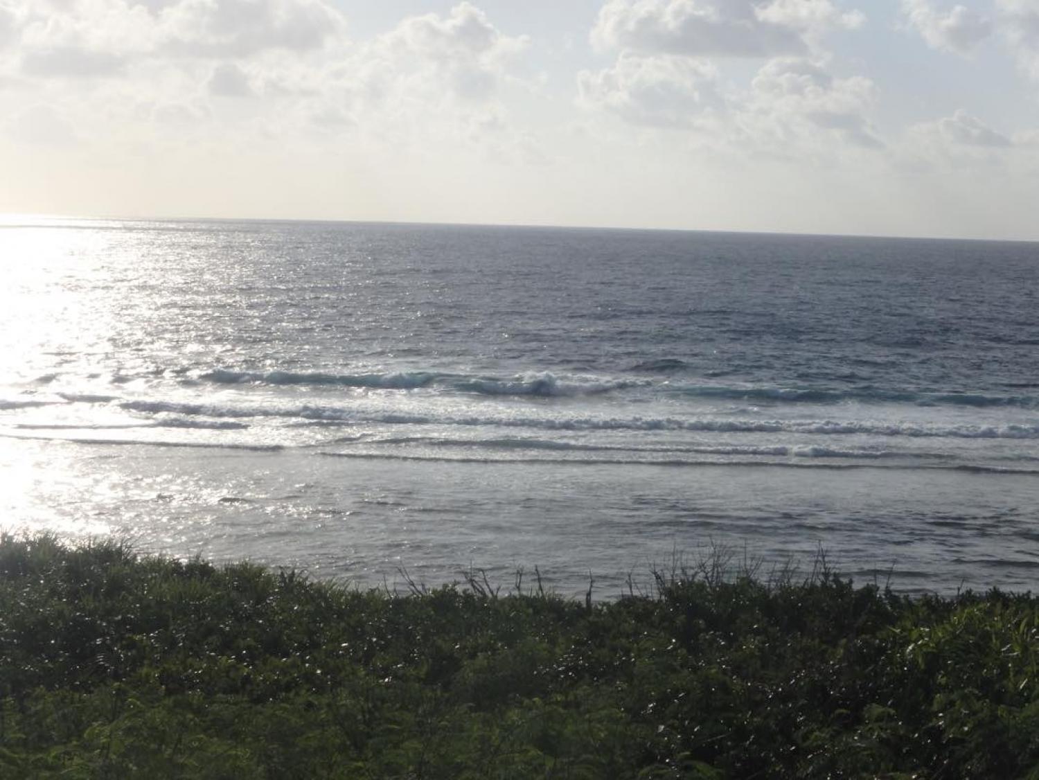 Dec.19 Suicide Point wave information 2