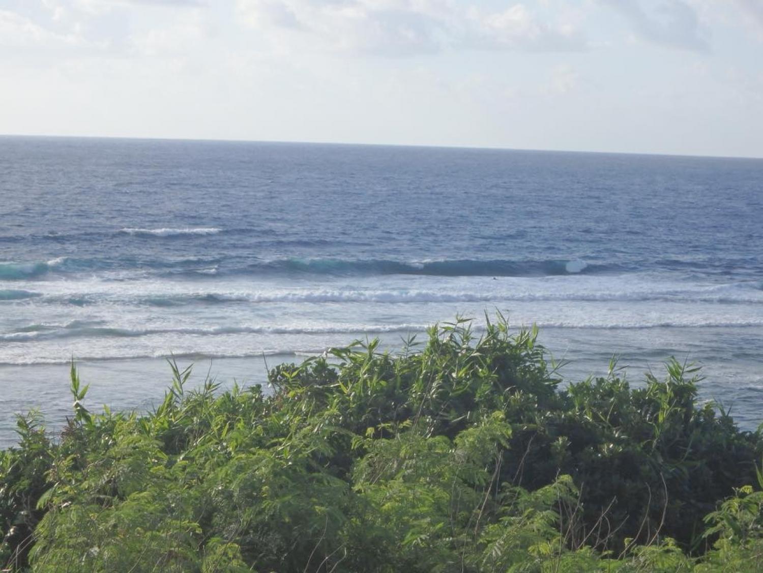 Dec.19 Suicide Point wave information 3