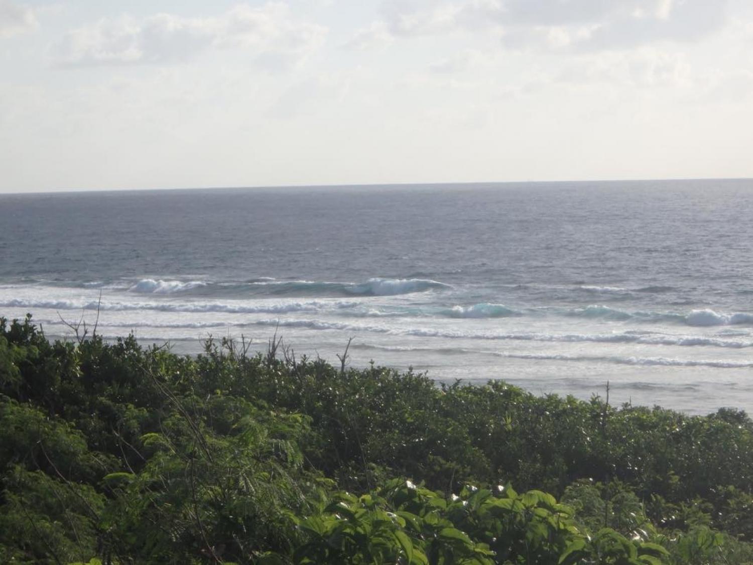 Dec.19 Suicide Point wave information 4