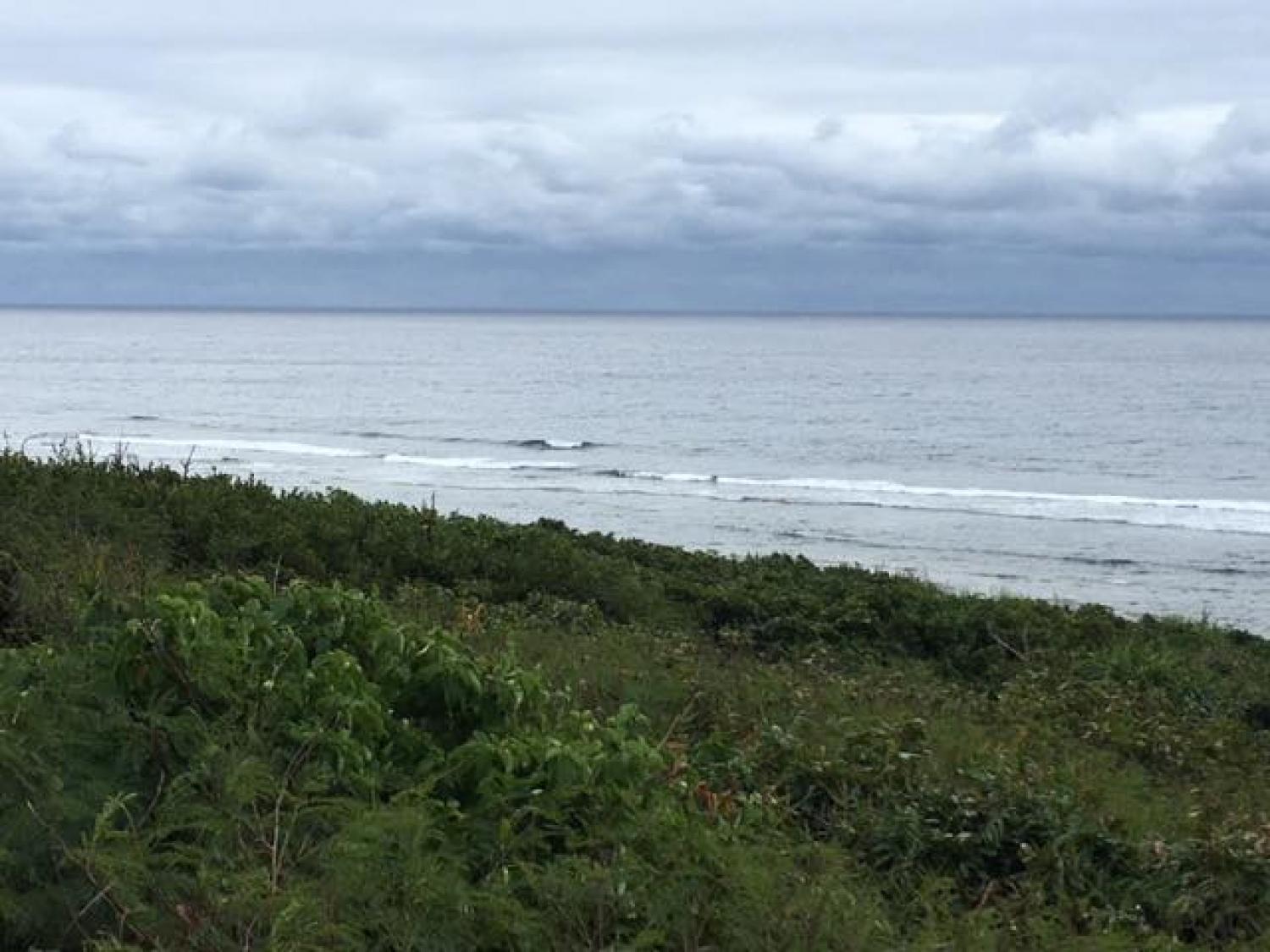 Jan.13 Suicide Point wave information 2