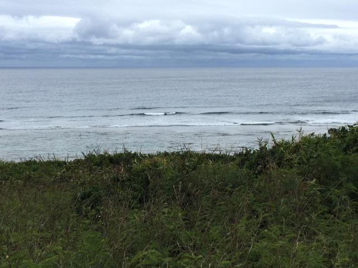 Jan.13 Suicide Point wave information 4