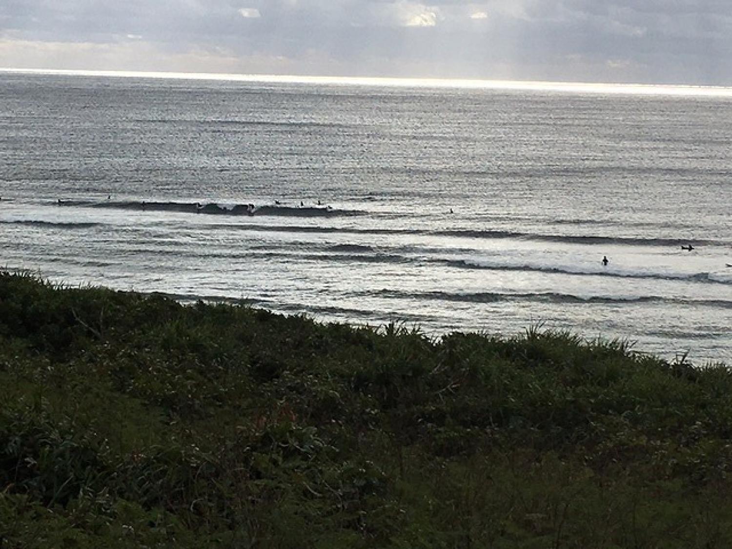 Jan.15 Suicide Point wave information