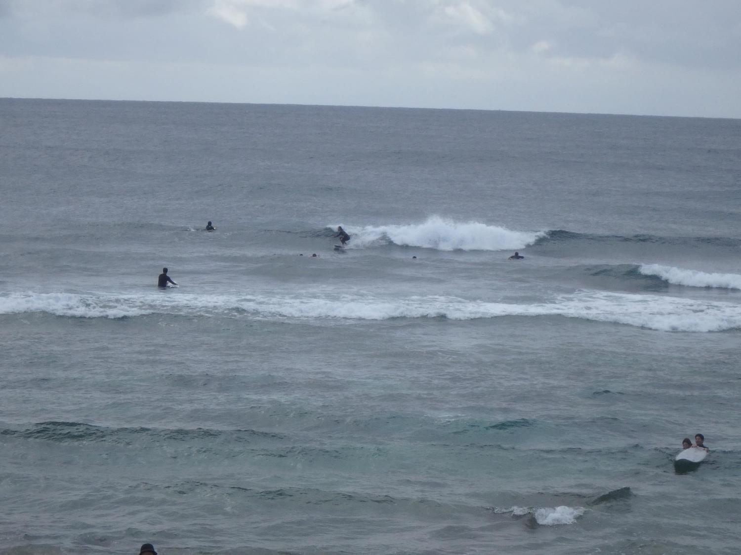 Jan.19 Suicide Point wave information