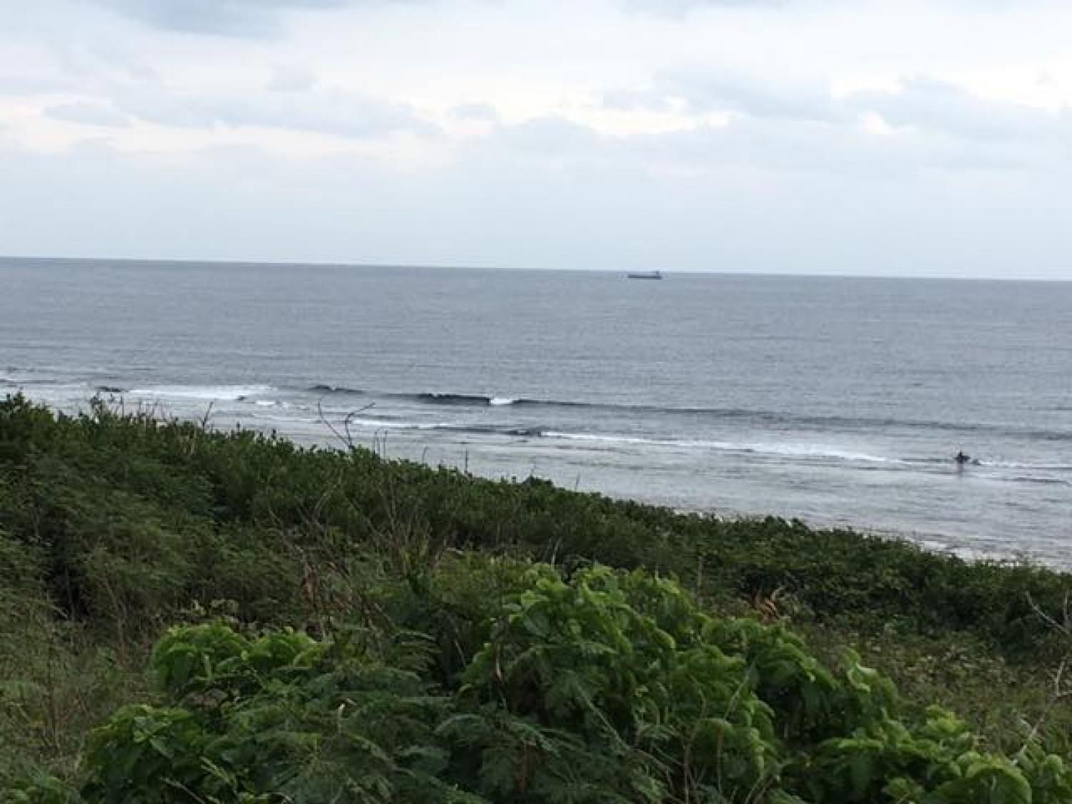 Jan.21 Suicide Point wave information