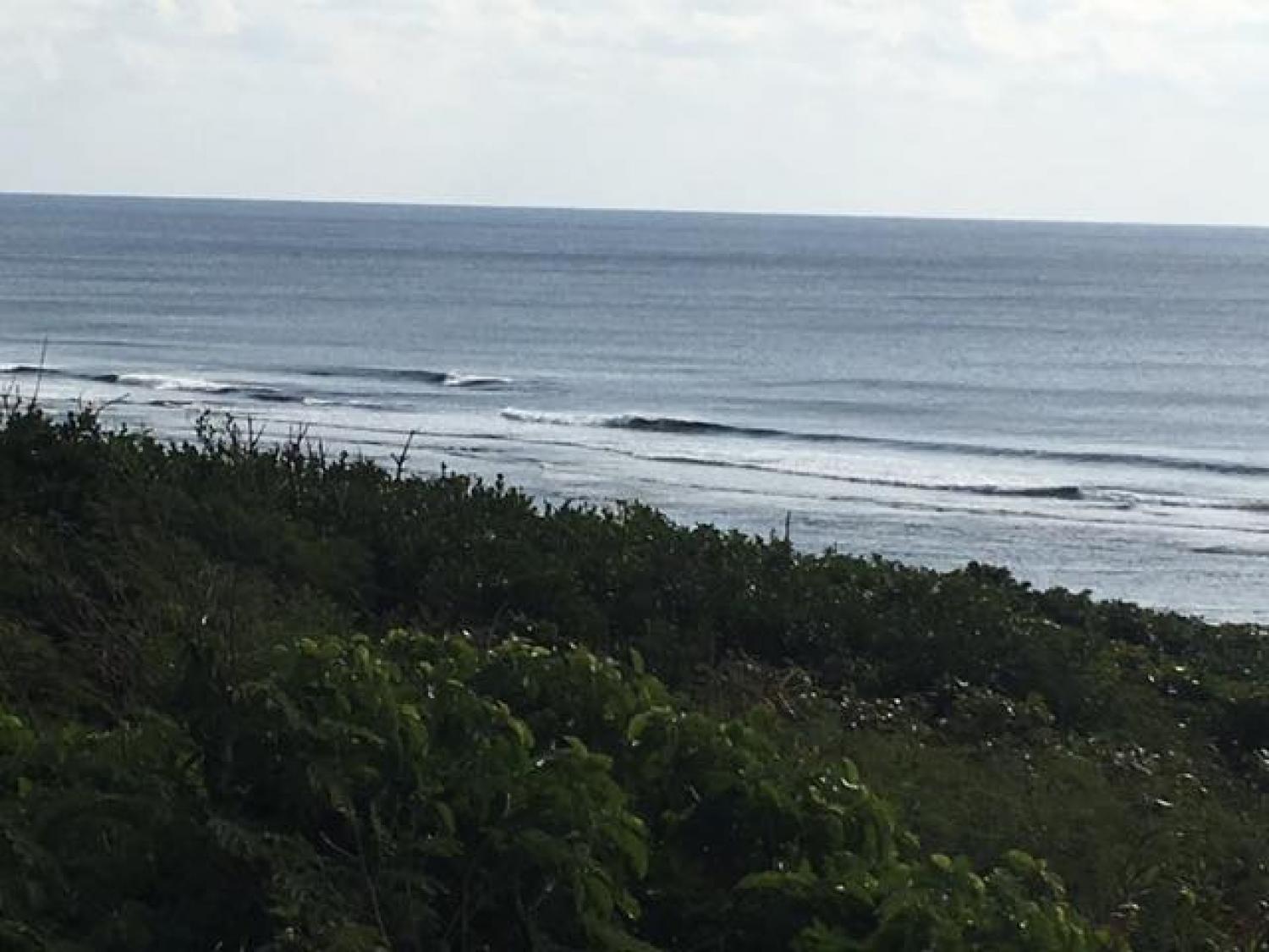 Jan.22 Suicide Point wave information