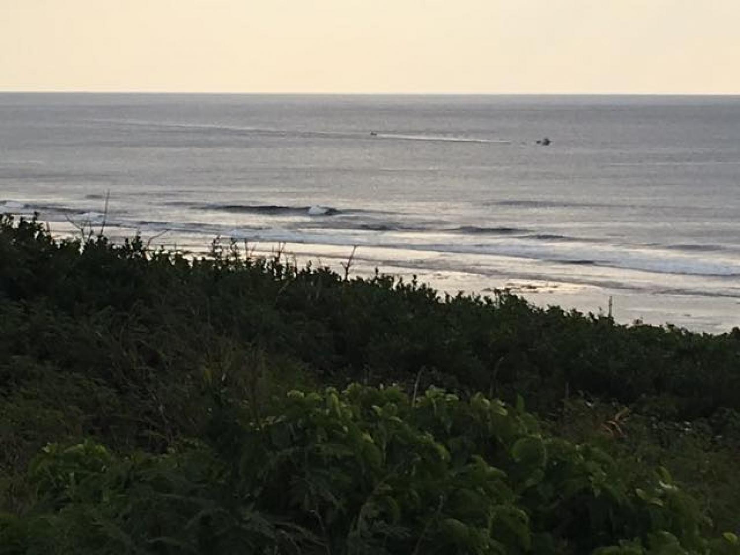 Jan.23 Suicide Point wave information