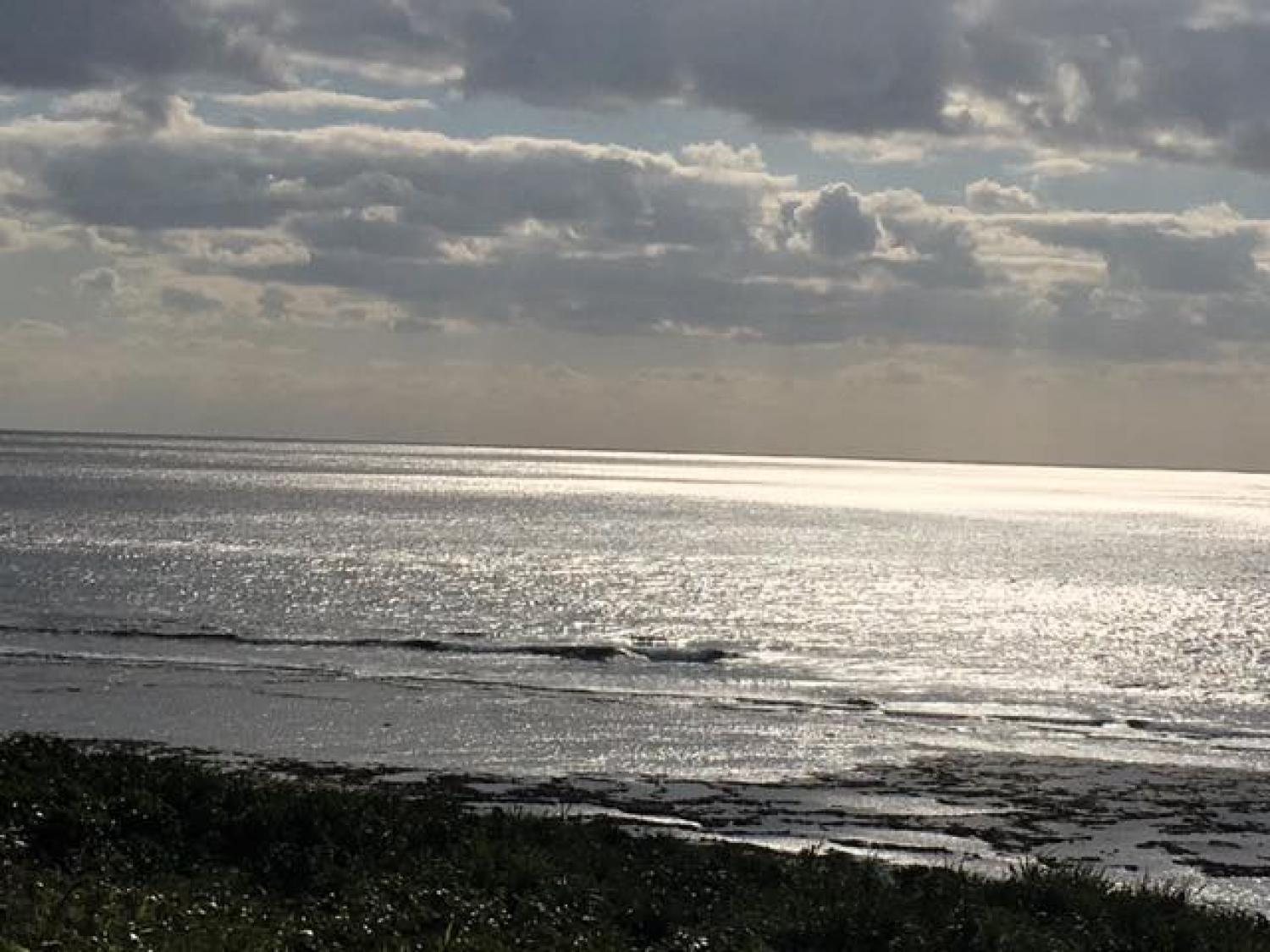 Jan.24 Suicide Point wave information