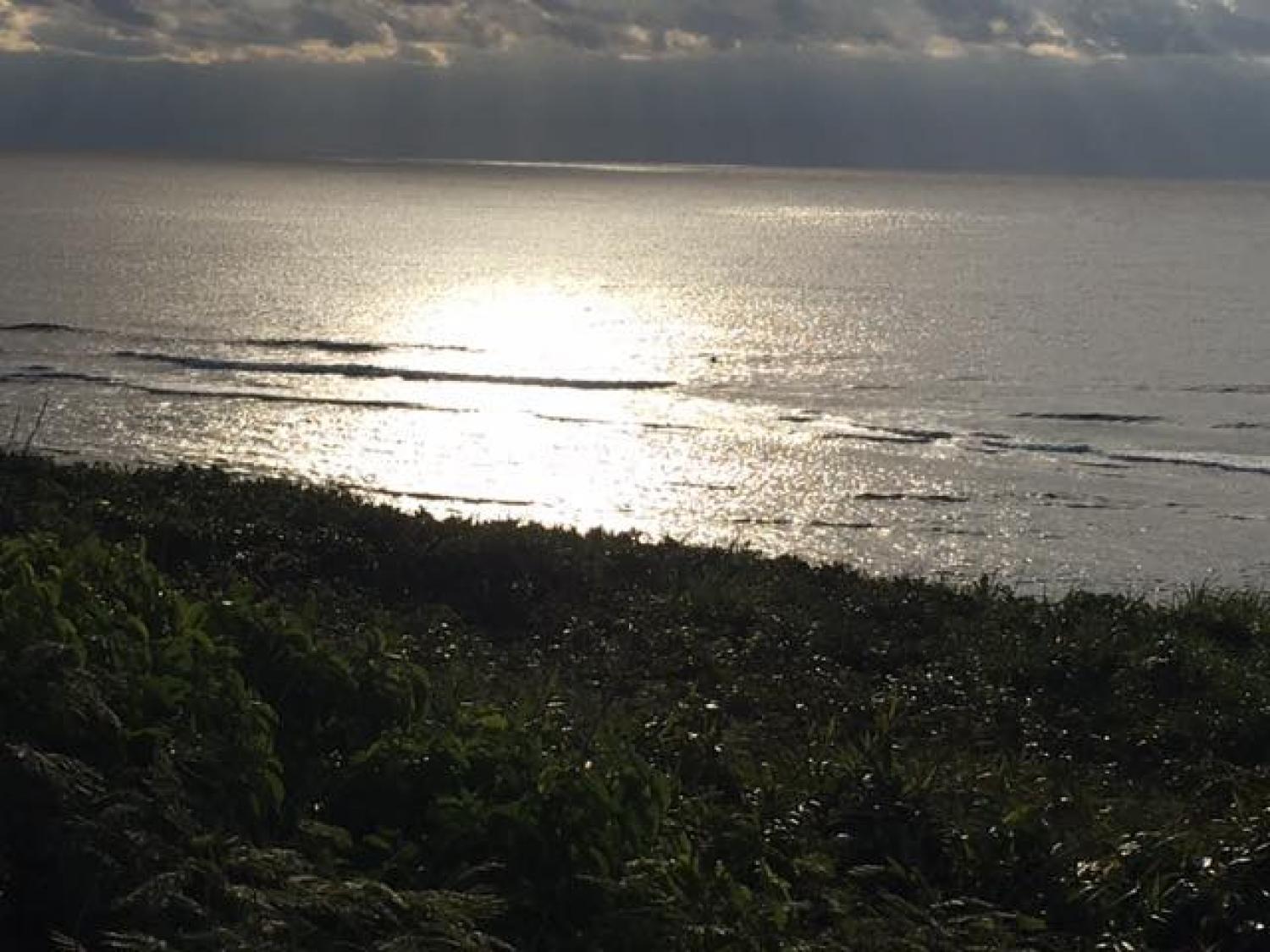 Jan.25 Suicide Point wave information