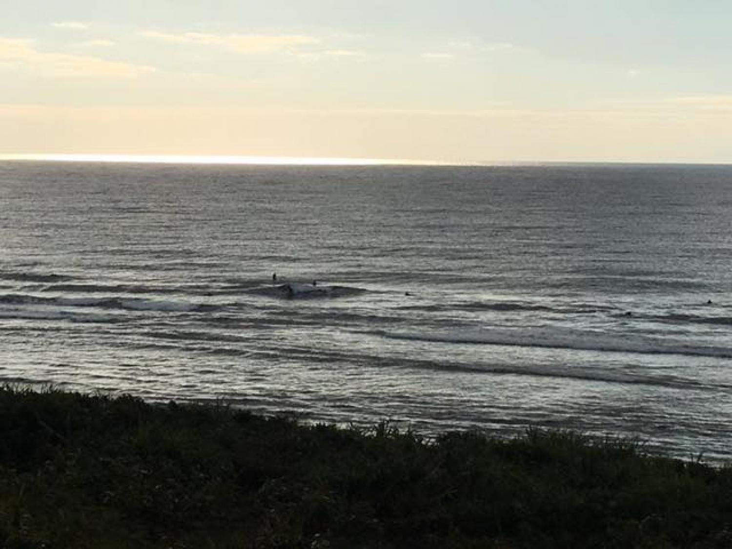Jan.27 Suicide Point wave information