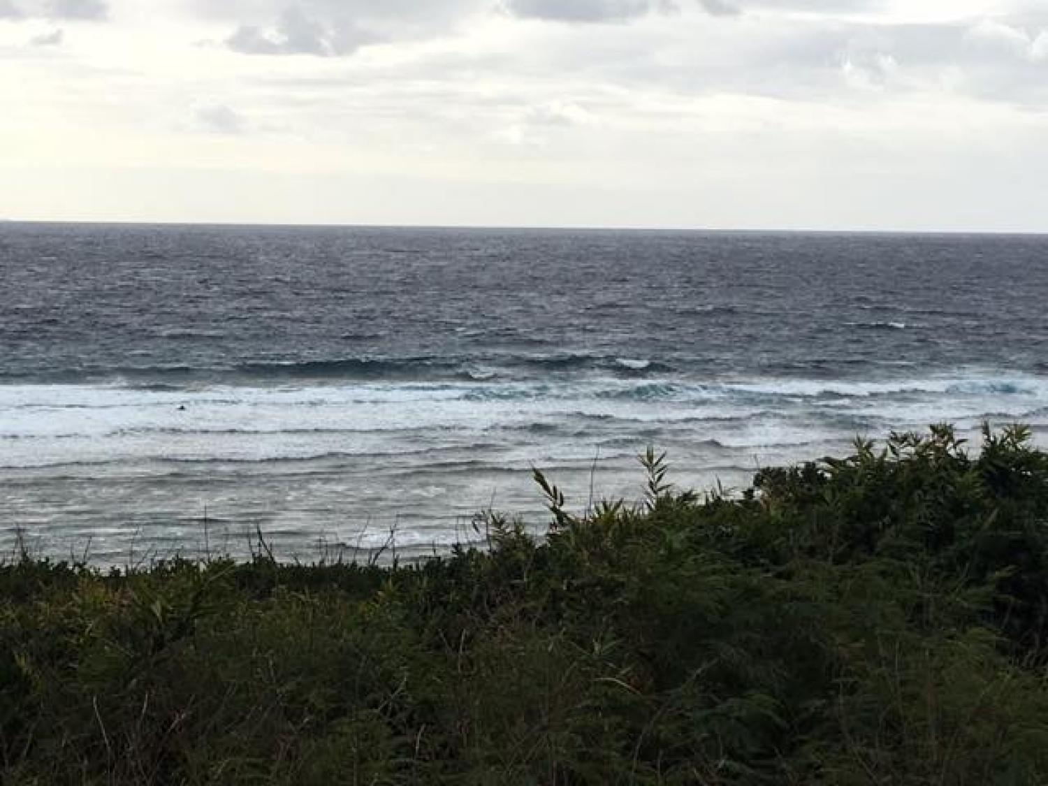 Jan.29 Suicide Point wave information