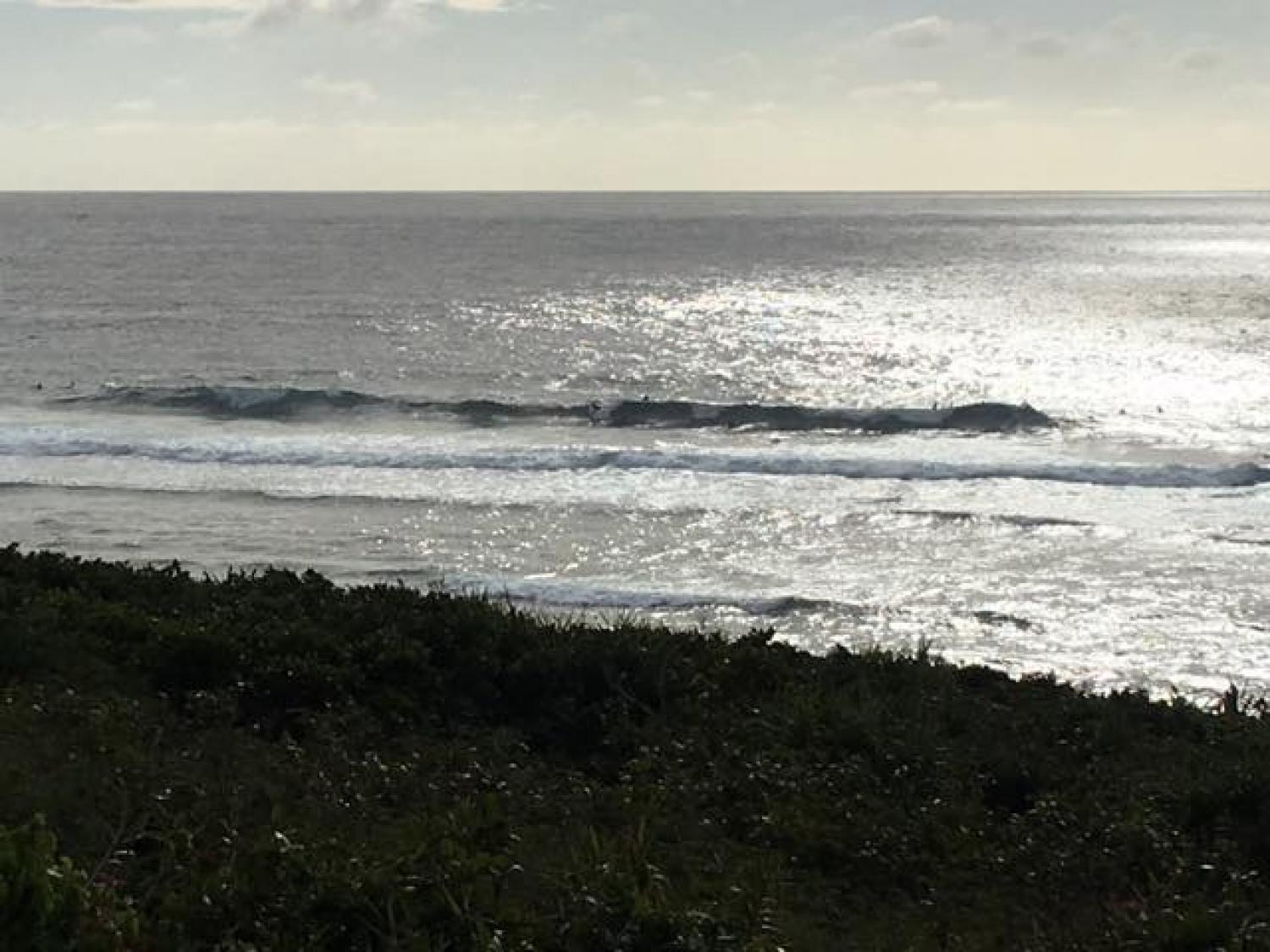 Jan.30 Suicide Point wave information