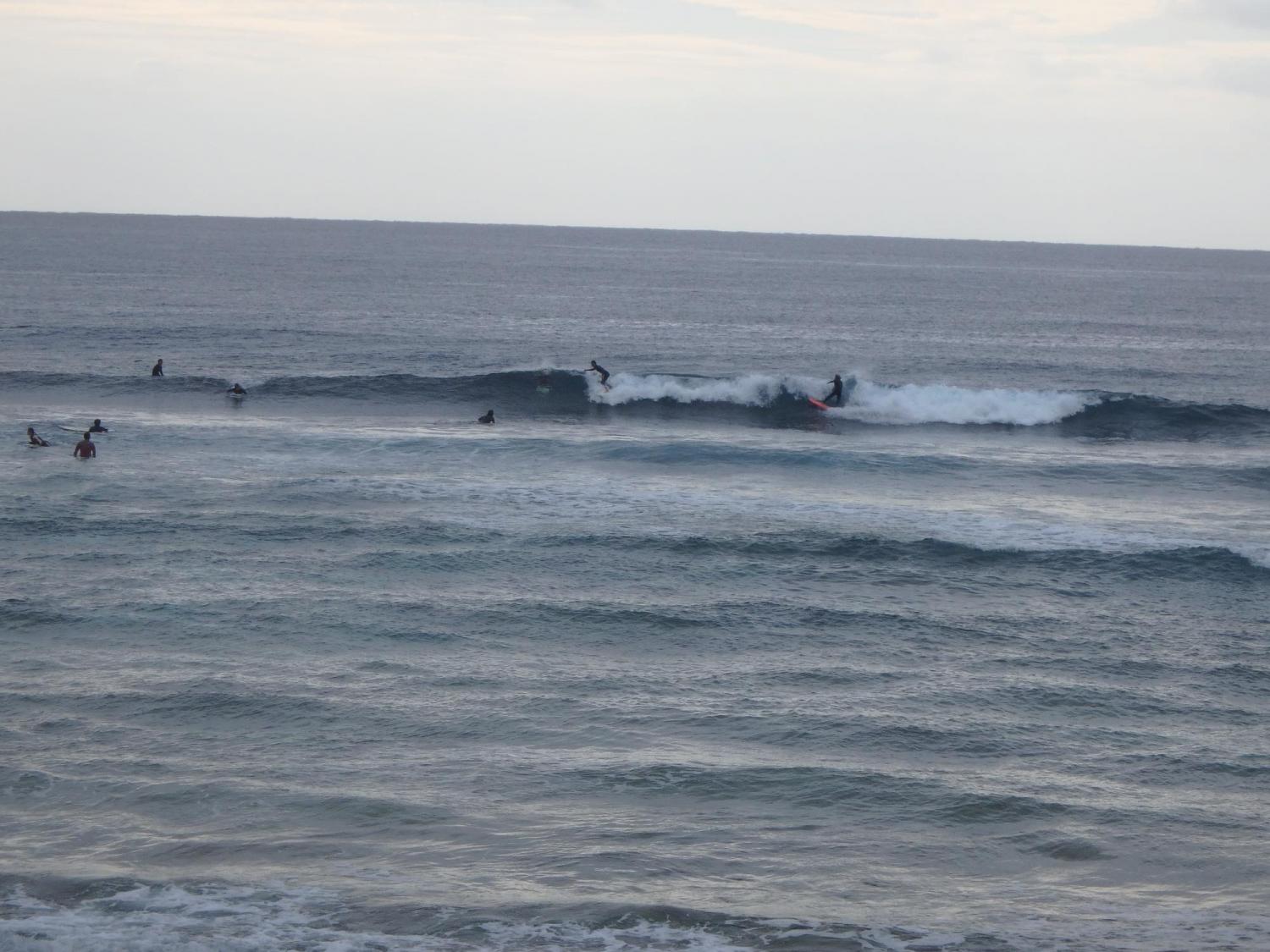 jan 31 suicide point wave information