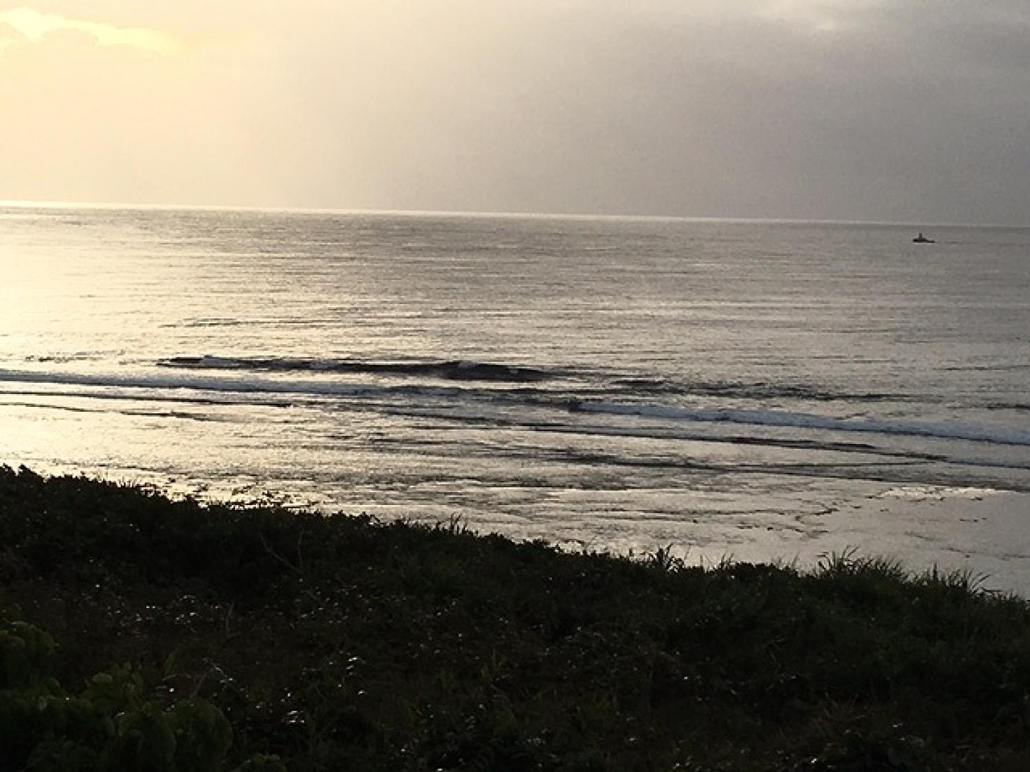 Feb 7 suicide point wave information