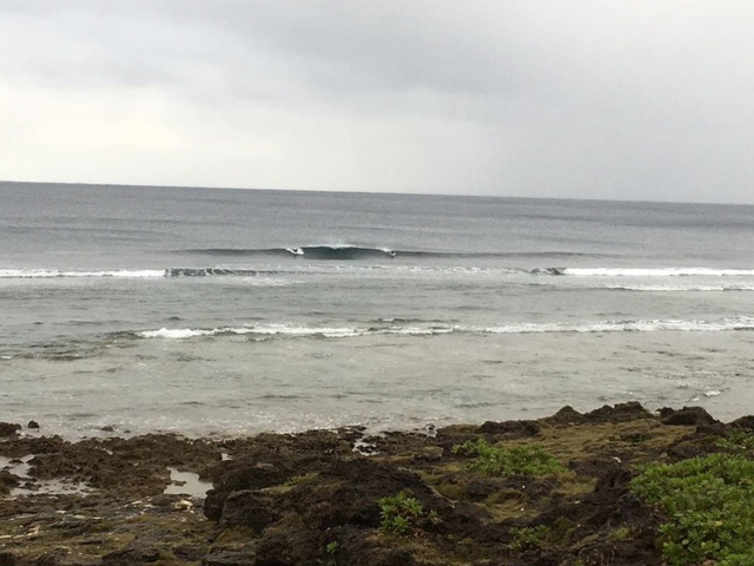 Feb 9 suicide point wave forecast