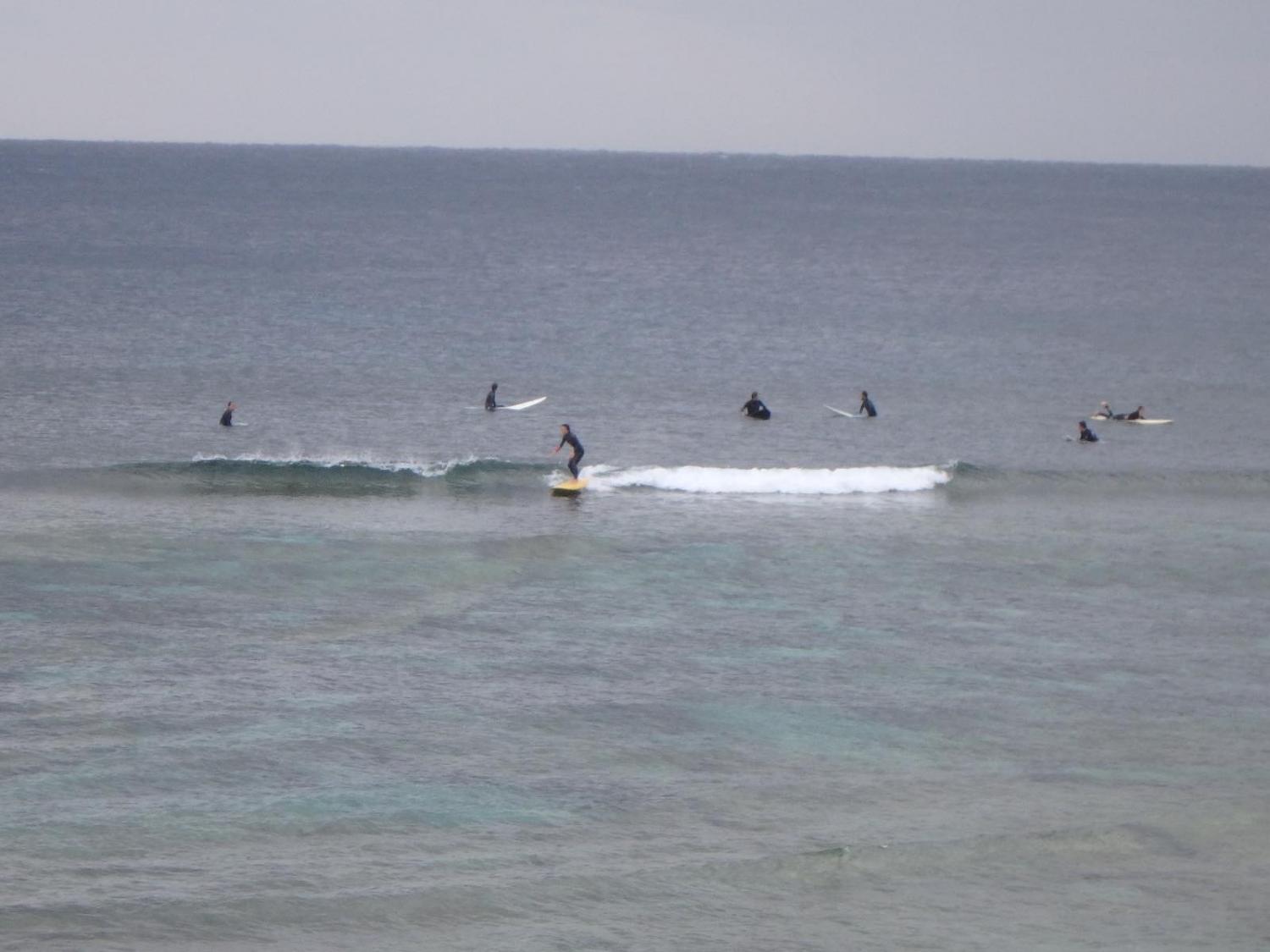Feb 11 suicide point wave information