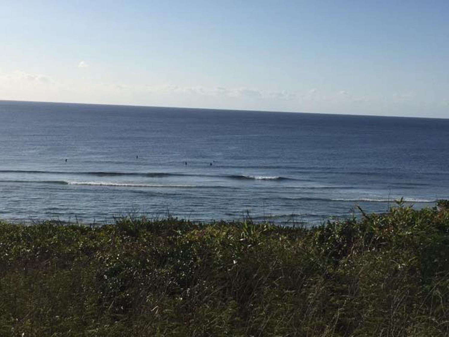 Feb 12 suicide point wave information