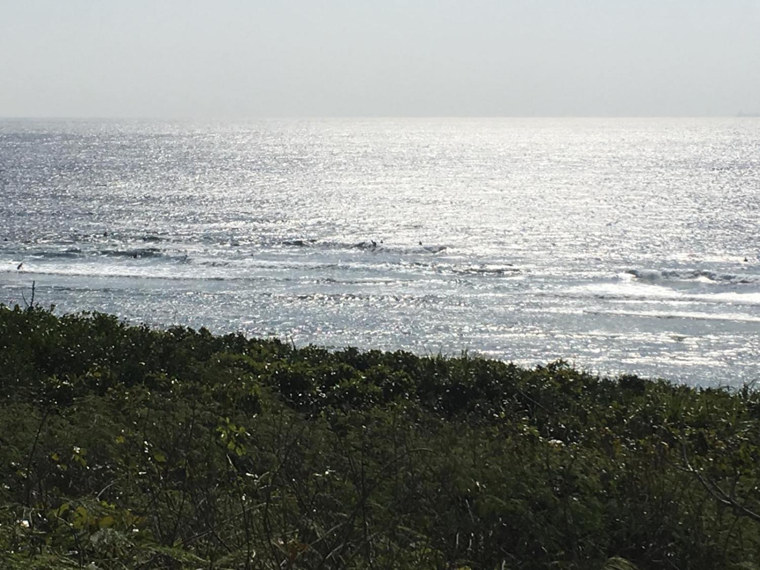 2月19日（日）スーサイド波情報 2