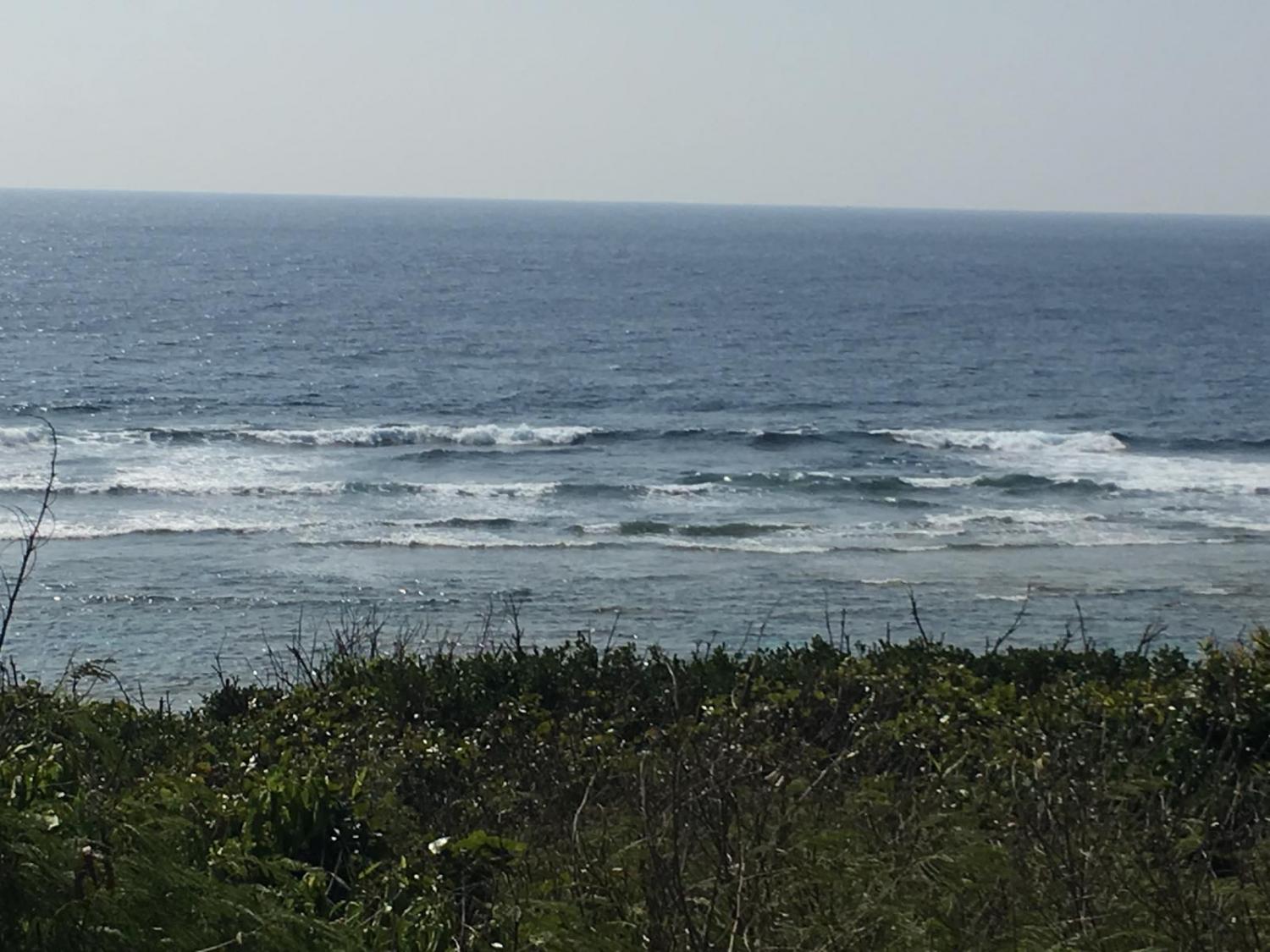 2月19日（日）スーサイド波情報 3