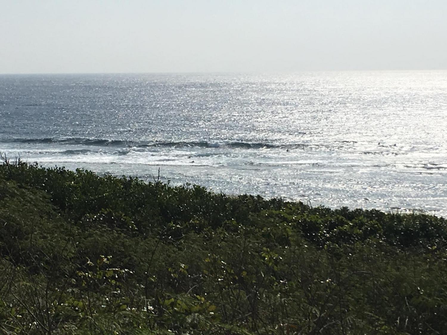 2月19日（日）スーサイド波情報 4