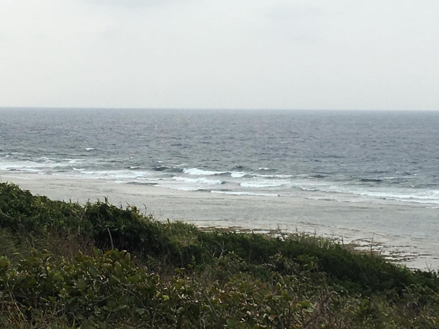 Feb 20 suicide point wave information