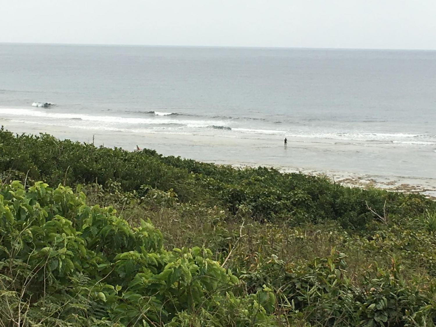 Feb 24 suicide point wave information