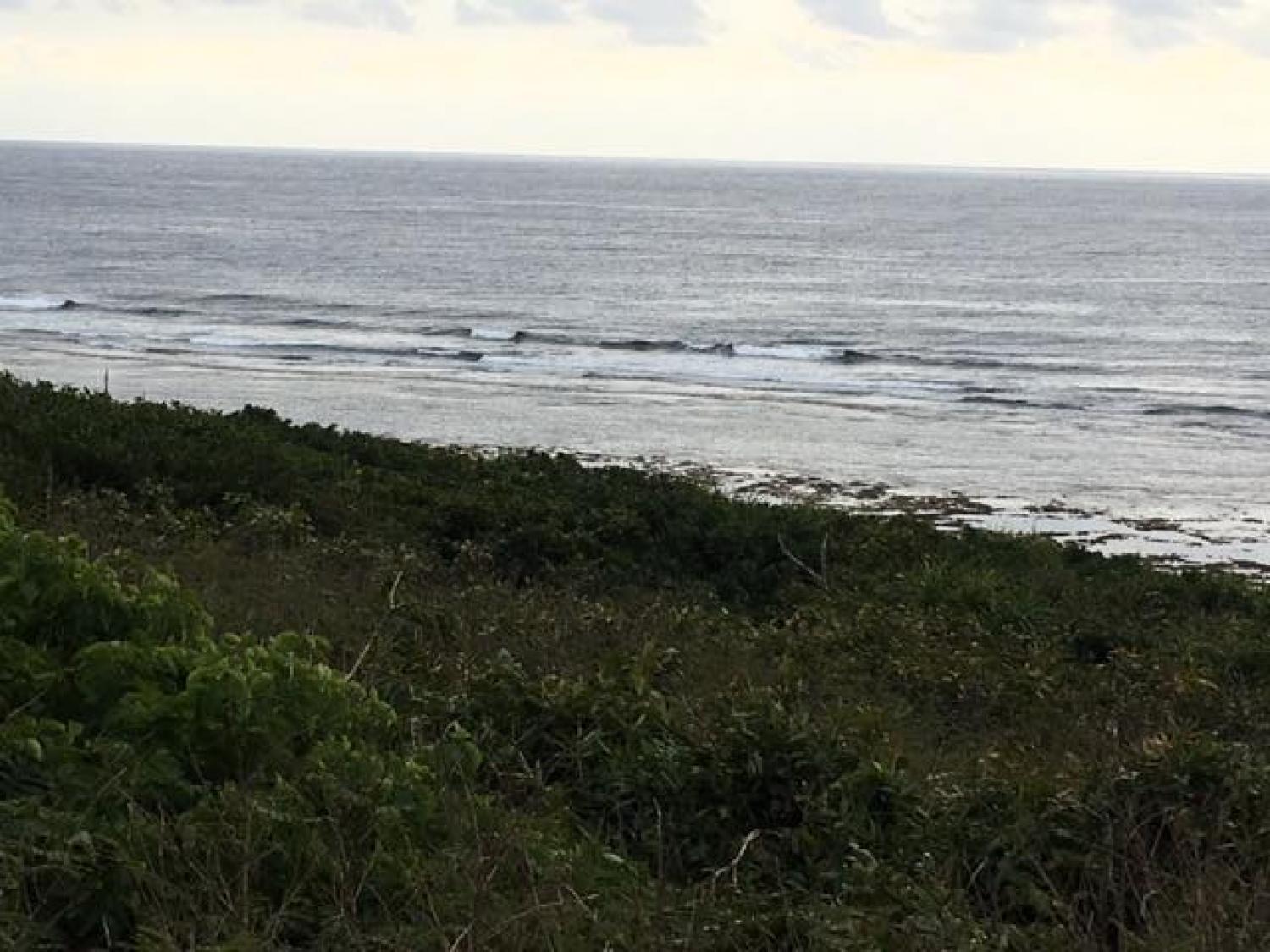 Feb 25 suicide point wave information