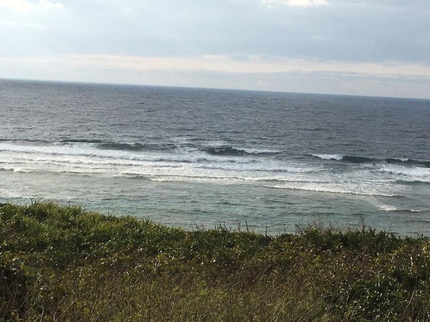 March 12 suicide point wave information