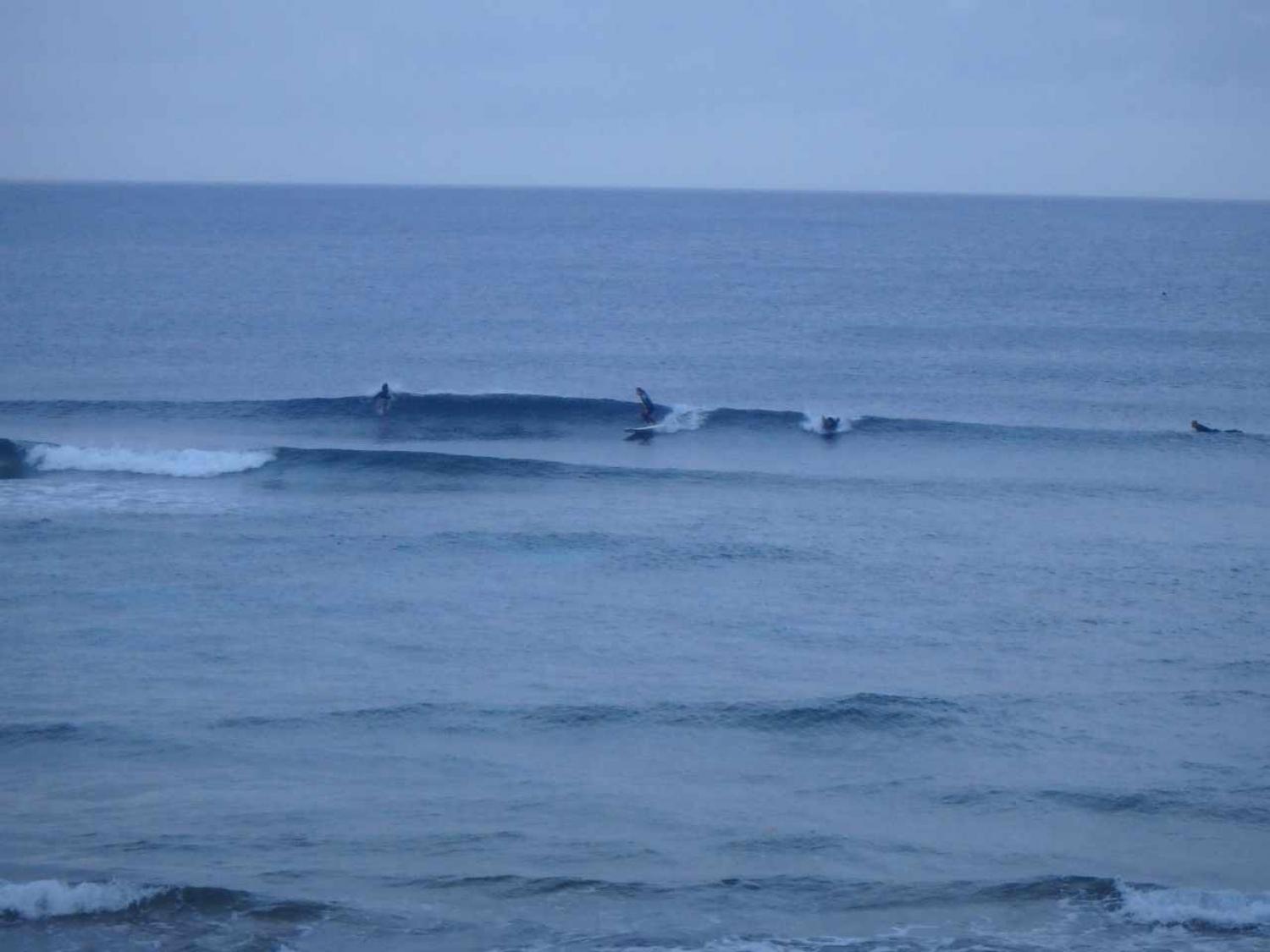March 14 suicide point wave information