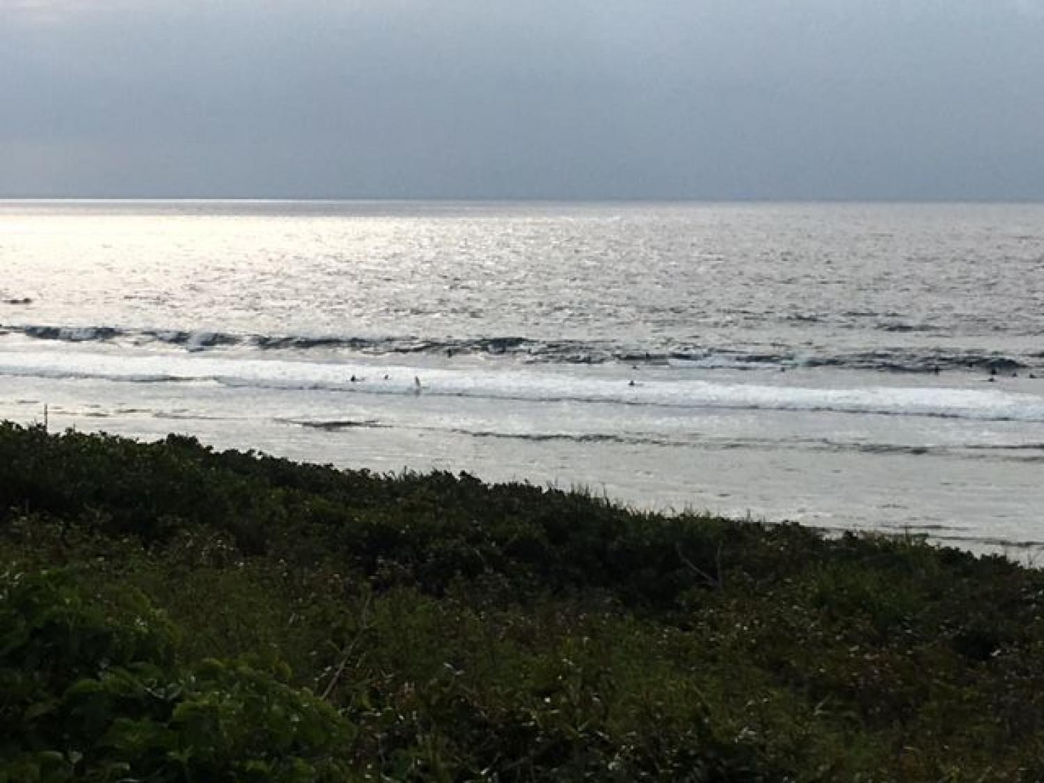 March 18 suicide point wave forecast