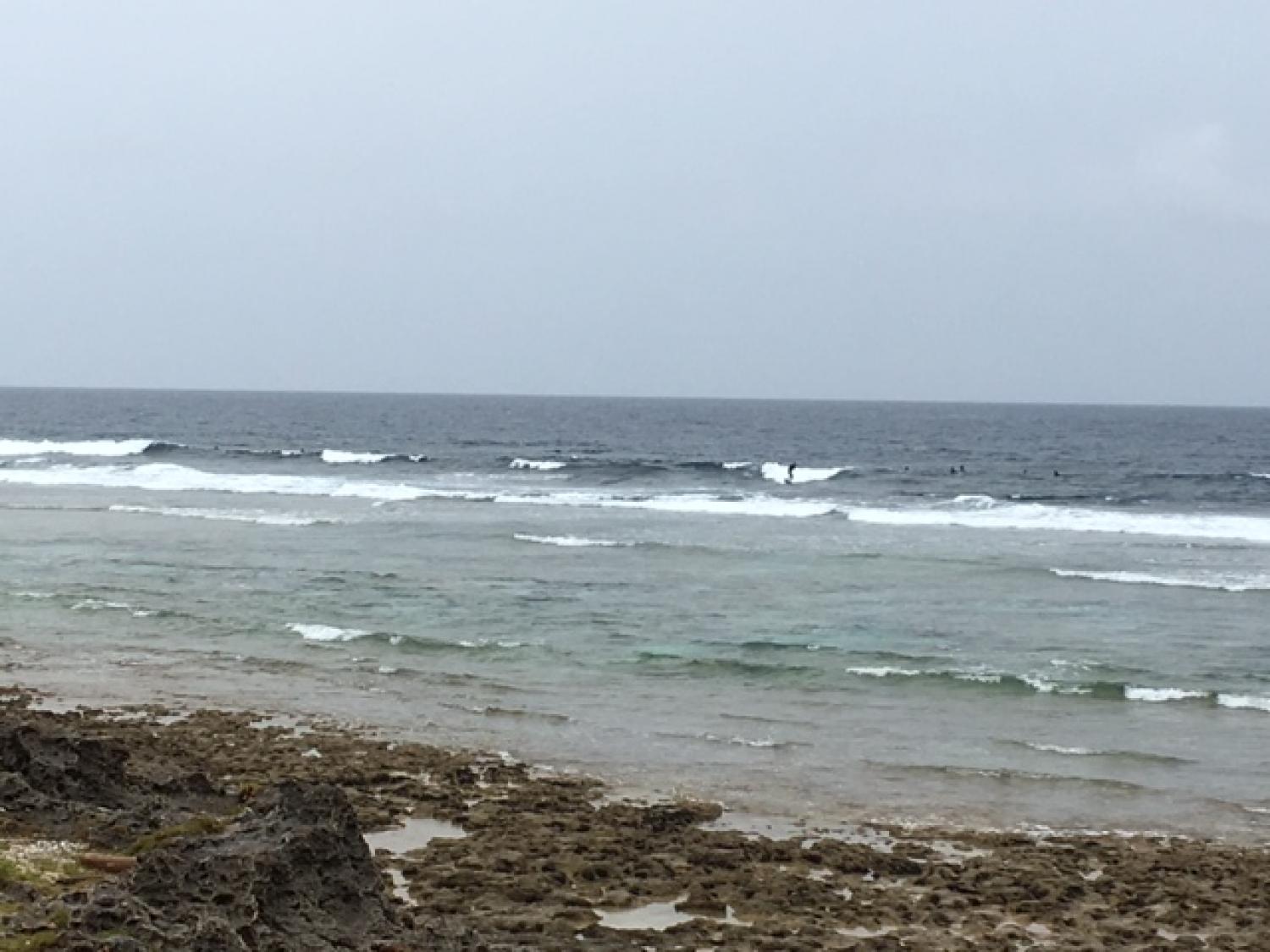 March 19 suicide point wave information