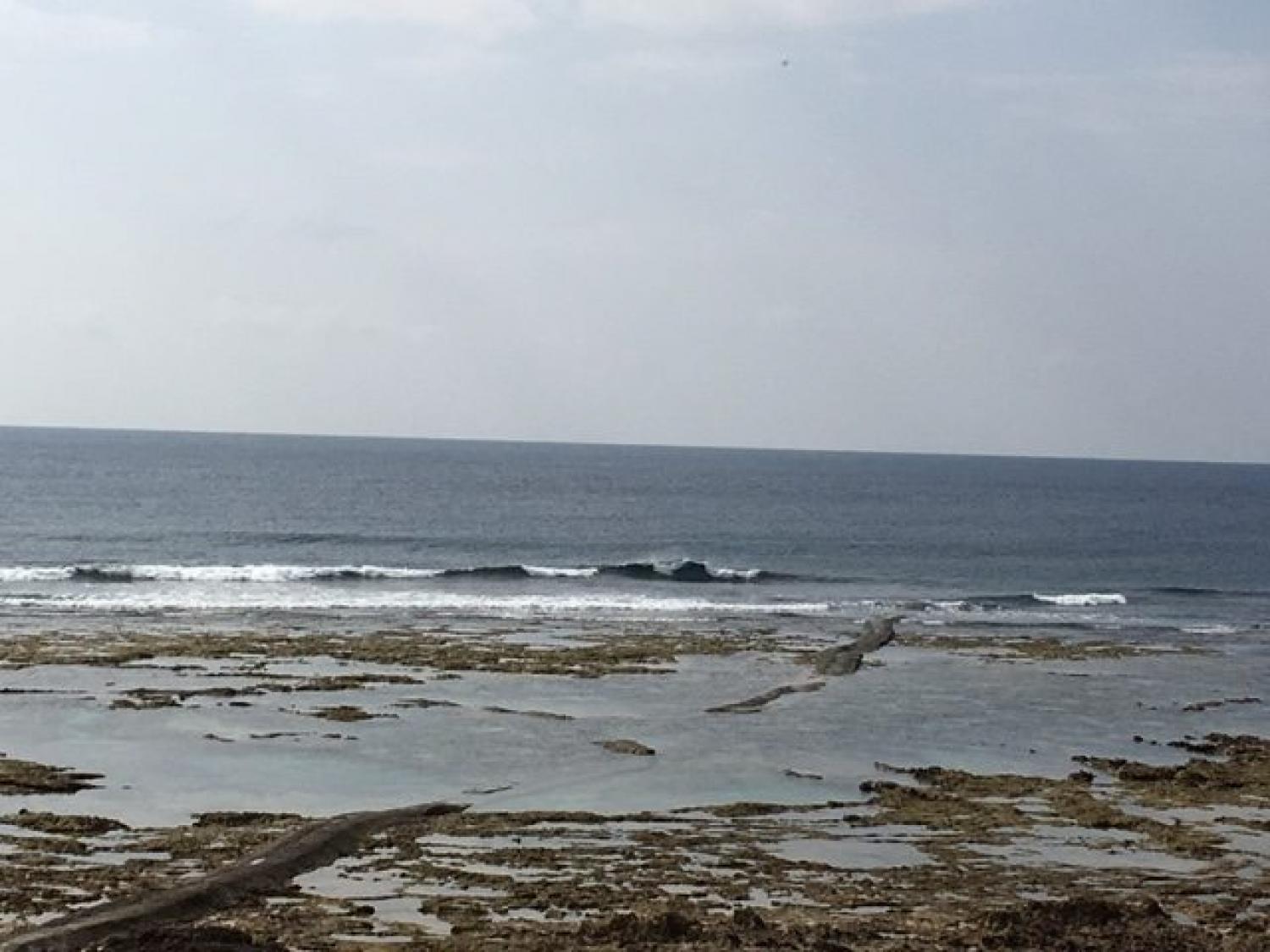 March 24 suicide point wave information