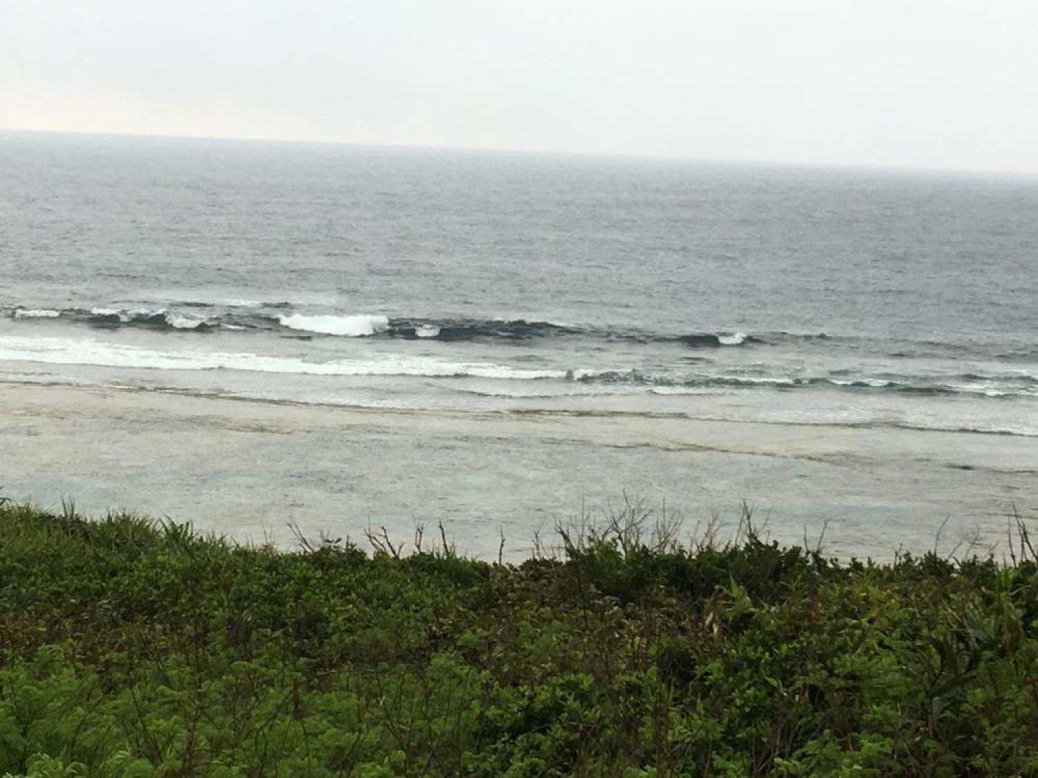 March 25 suicide point wave information