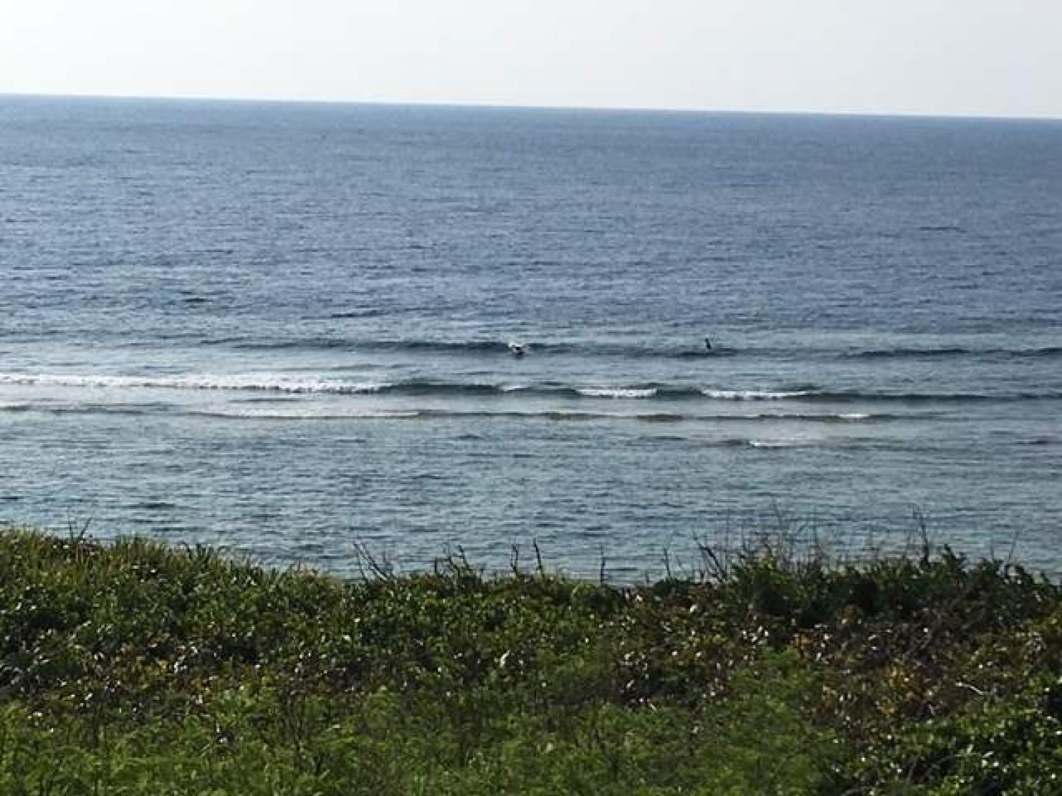 March 28 suicide point wave information