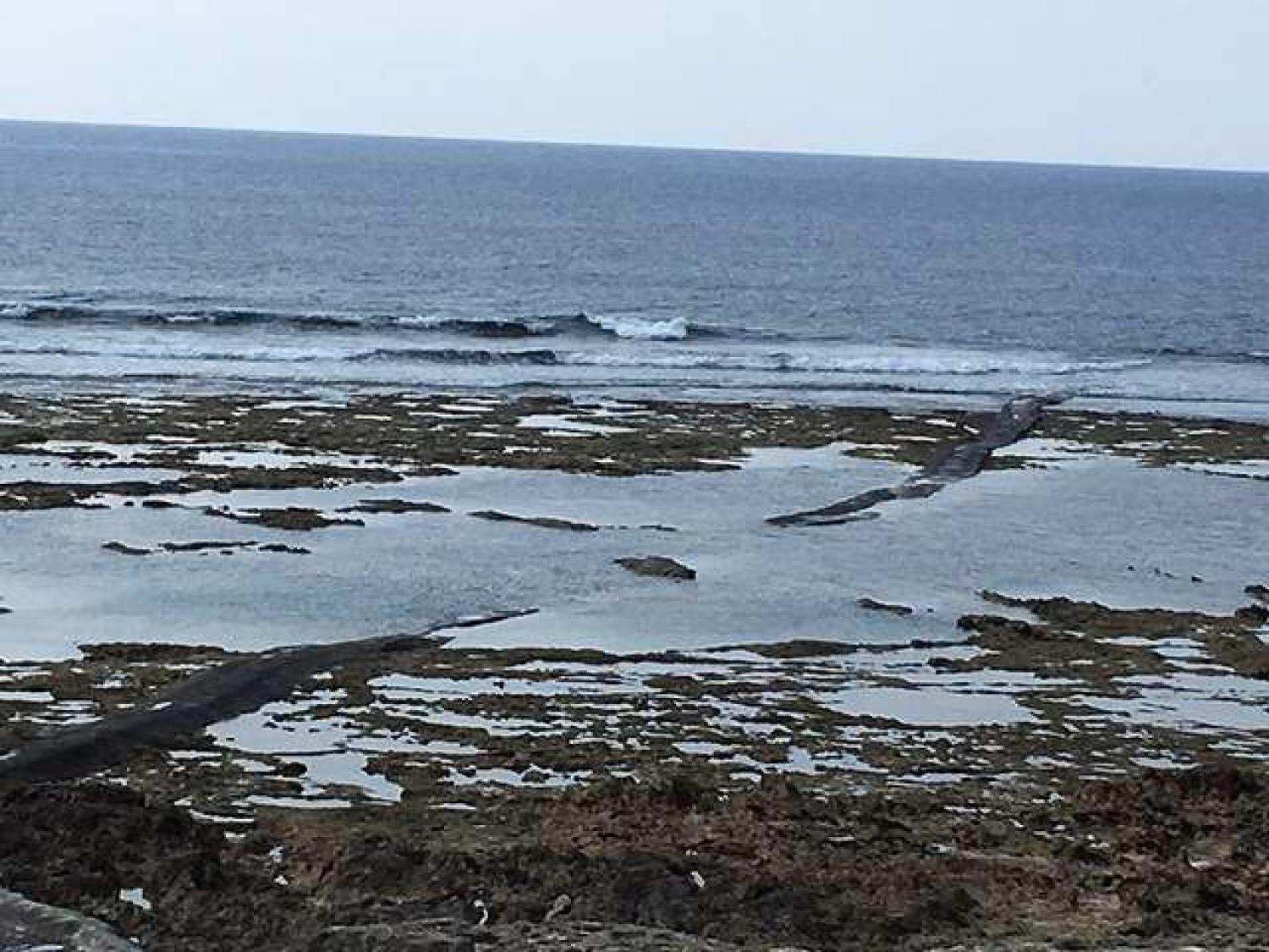 April 23 suicide point wave information