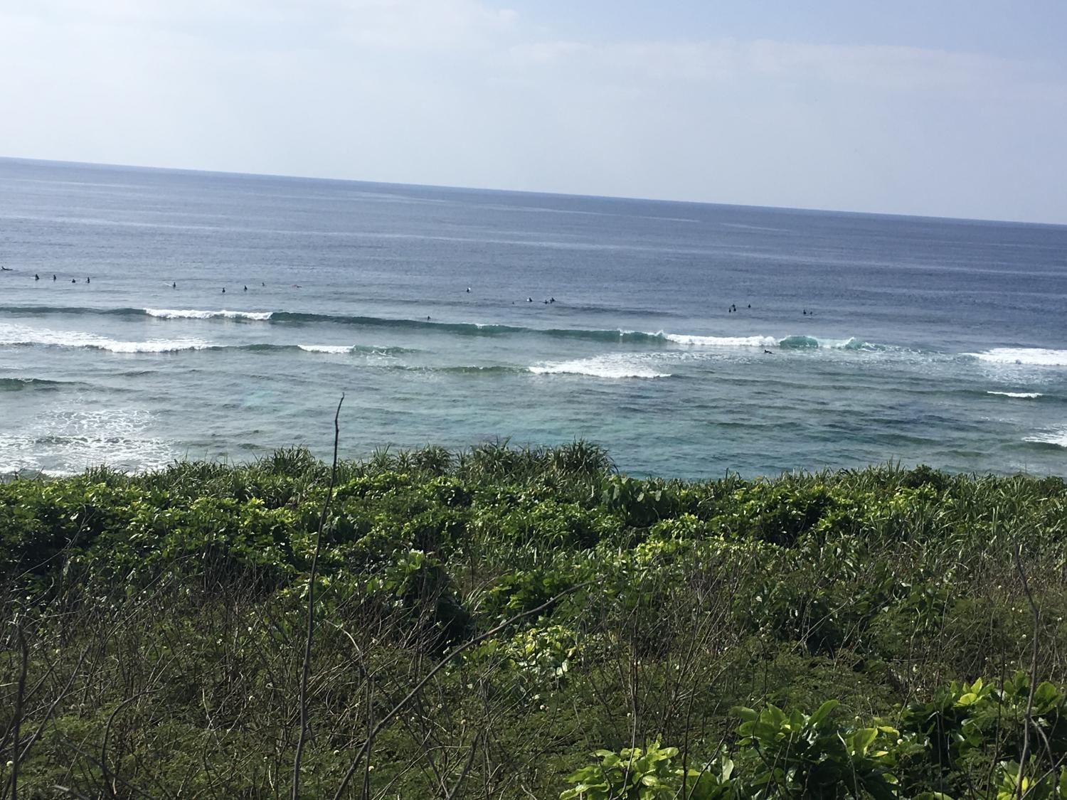 April 29 suicide point wave information