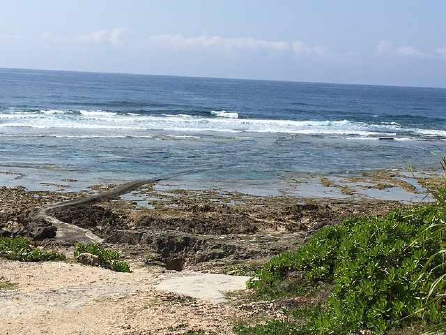 May 4 suicide point wave information