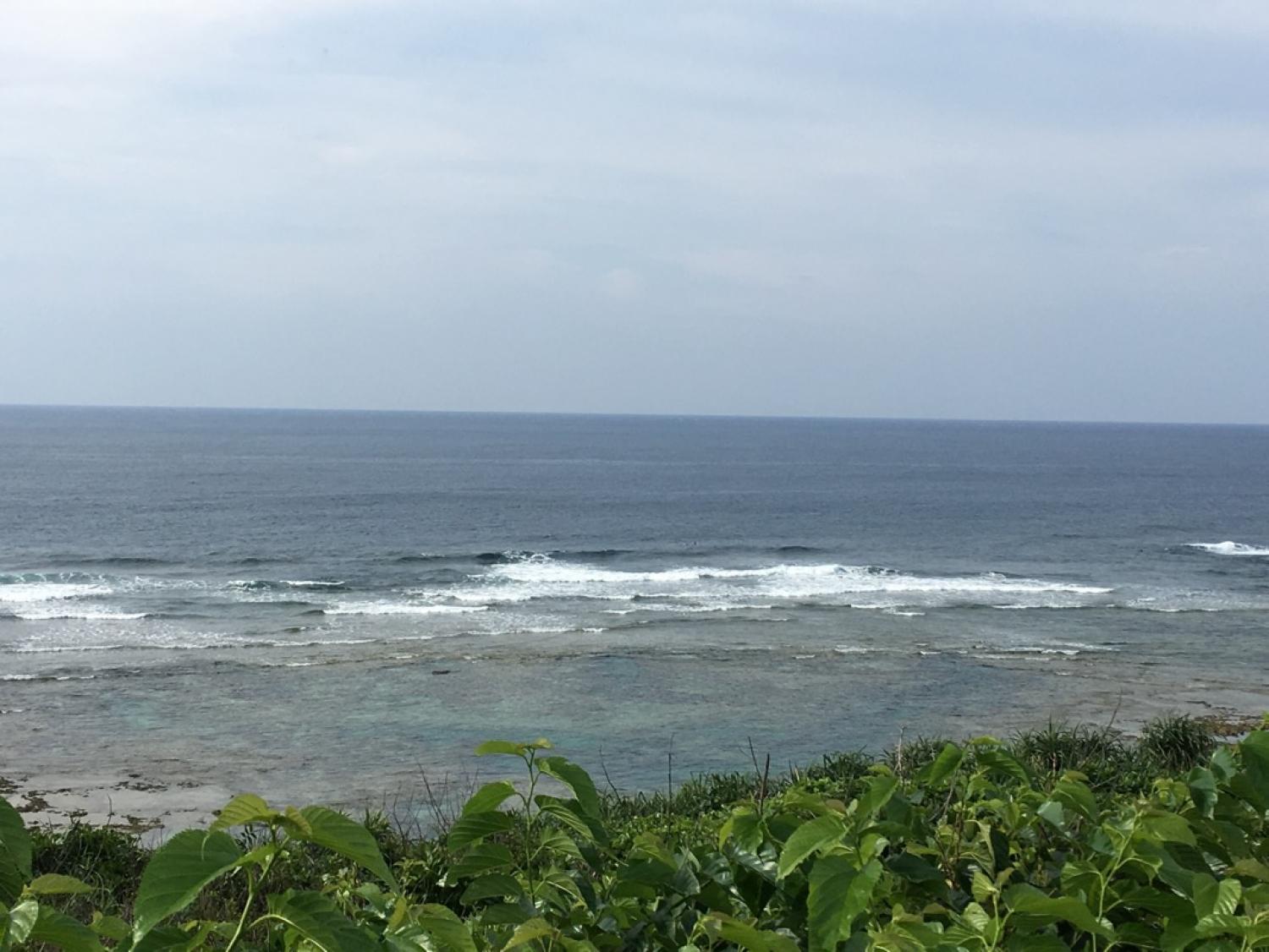 May 18 suicide point wave information