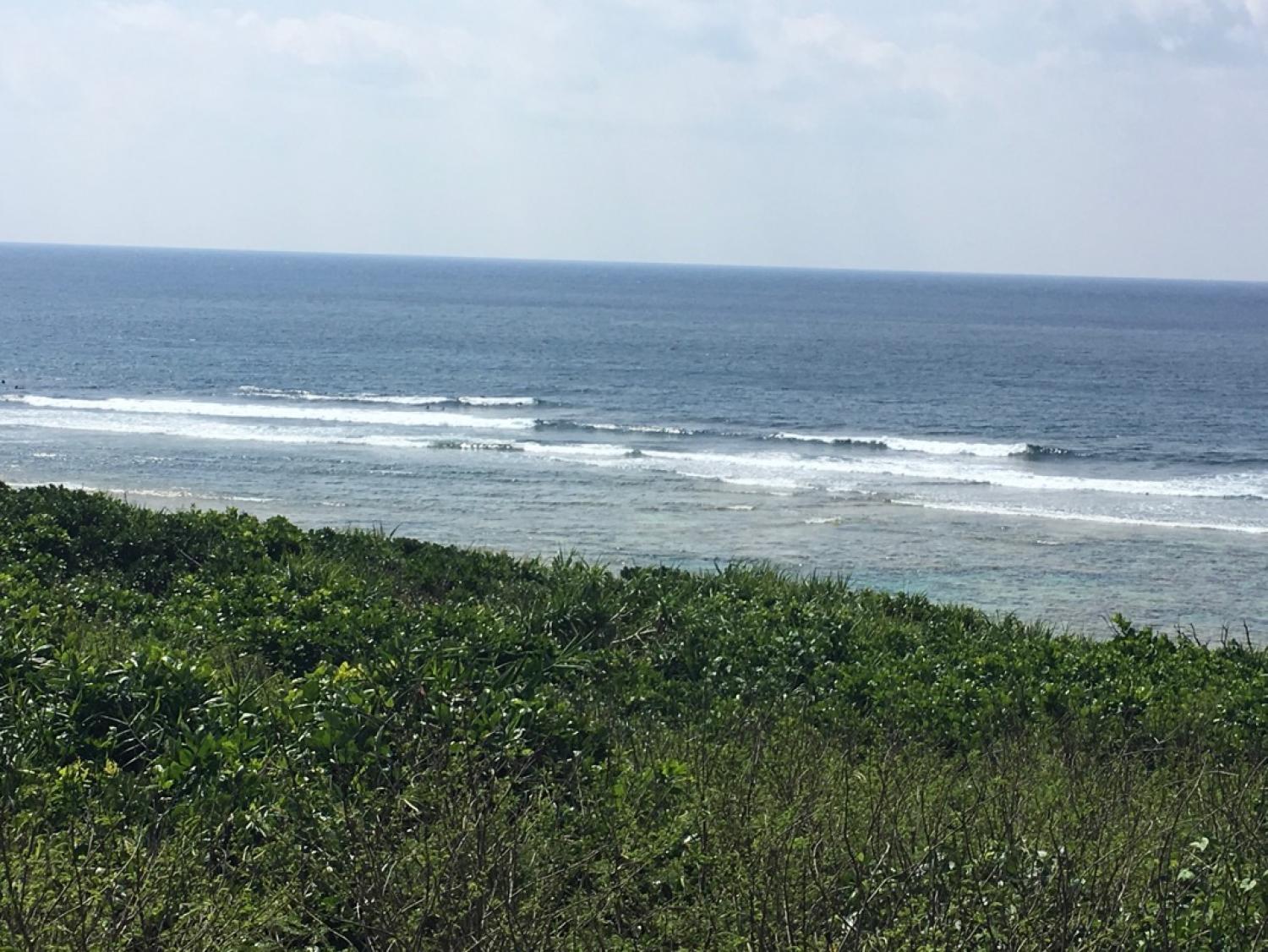 5月19日（金）スーサイド波情報 2