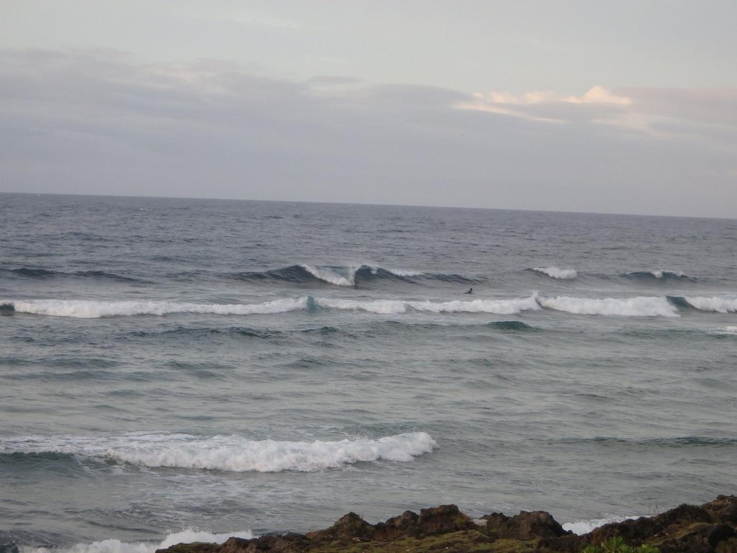 5月25日（木）スーサイド波情報 4