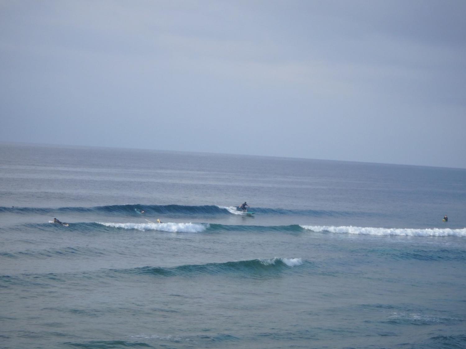 5月26日（金）スーサイド波情報 3