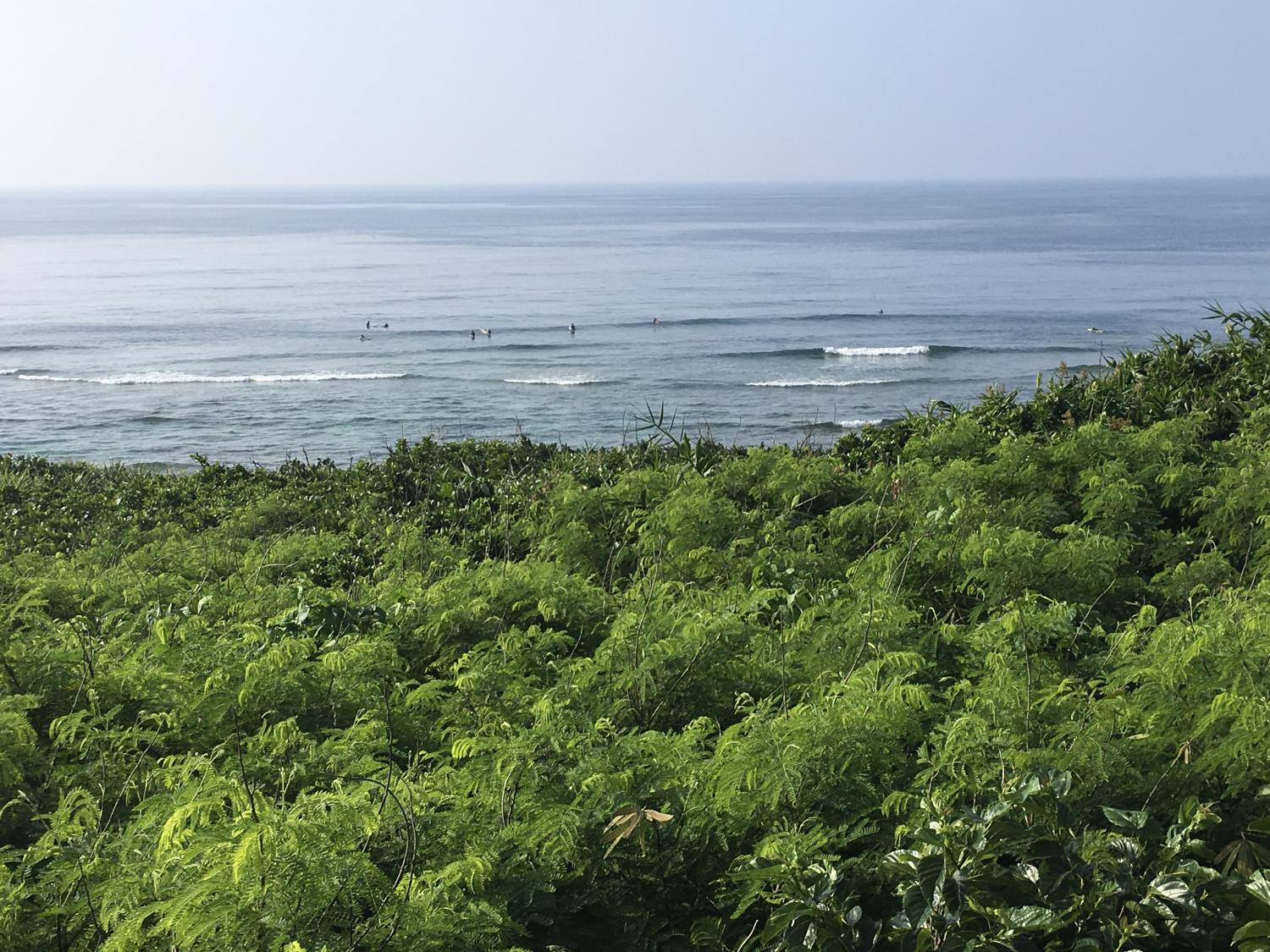 6月9日（金）スーサイド波情報 2