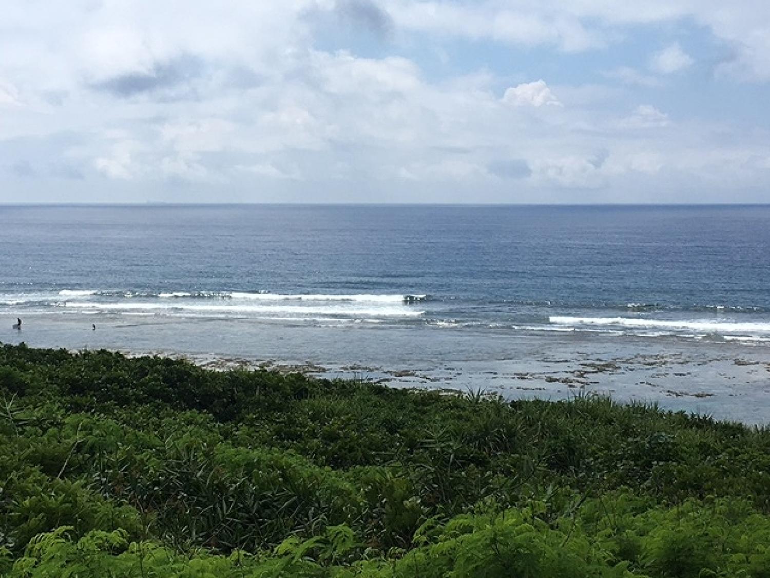 6月10日（土）スーサイド波情報