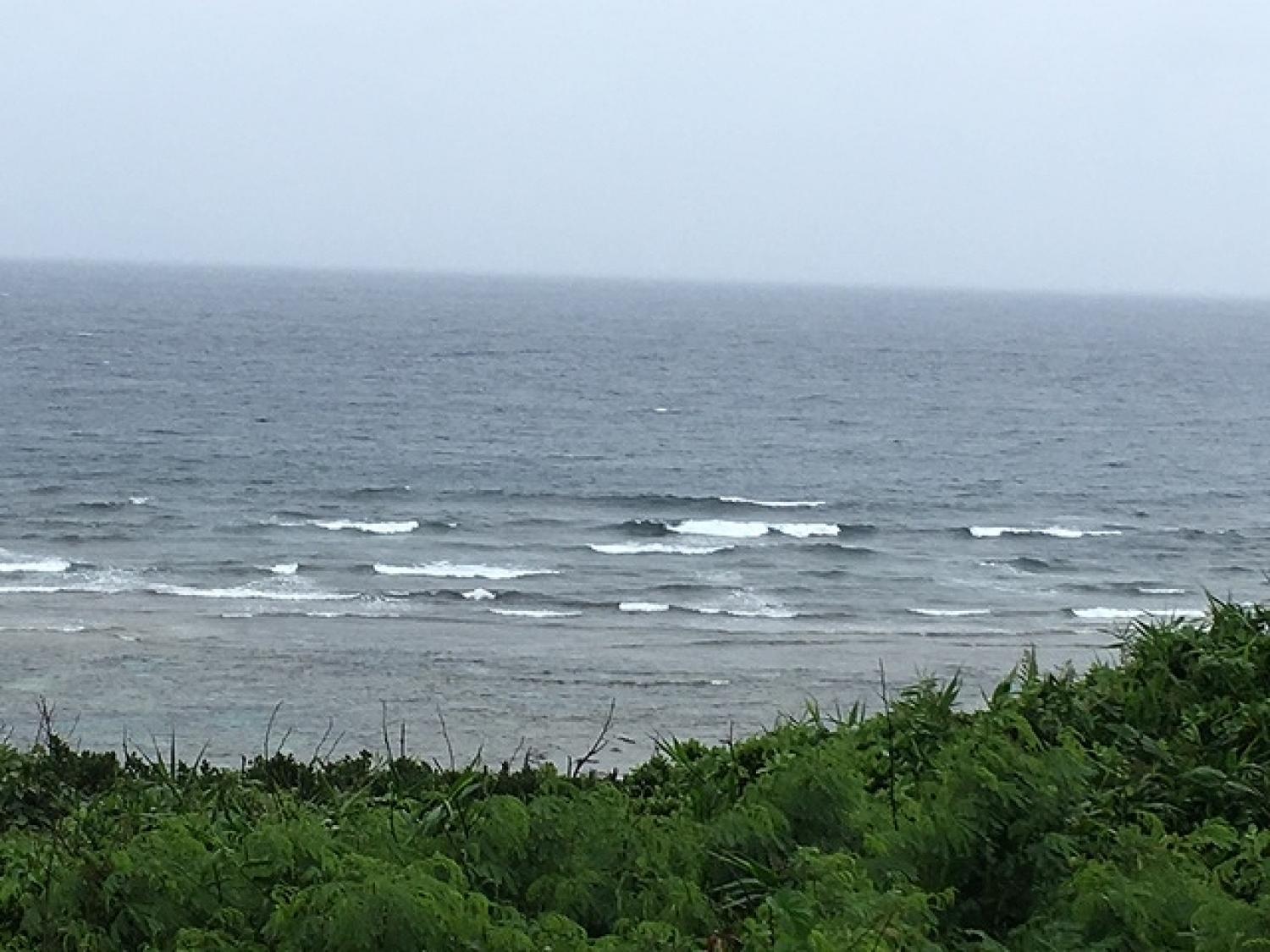 June 16 suicide point wave information