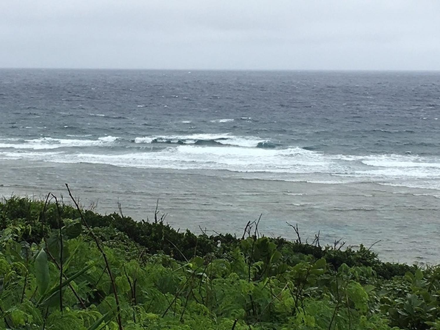 June 17 suicide point wave information