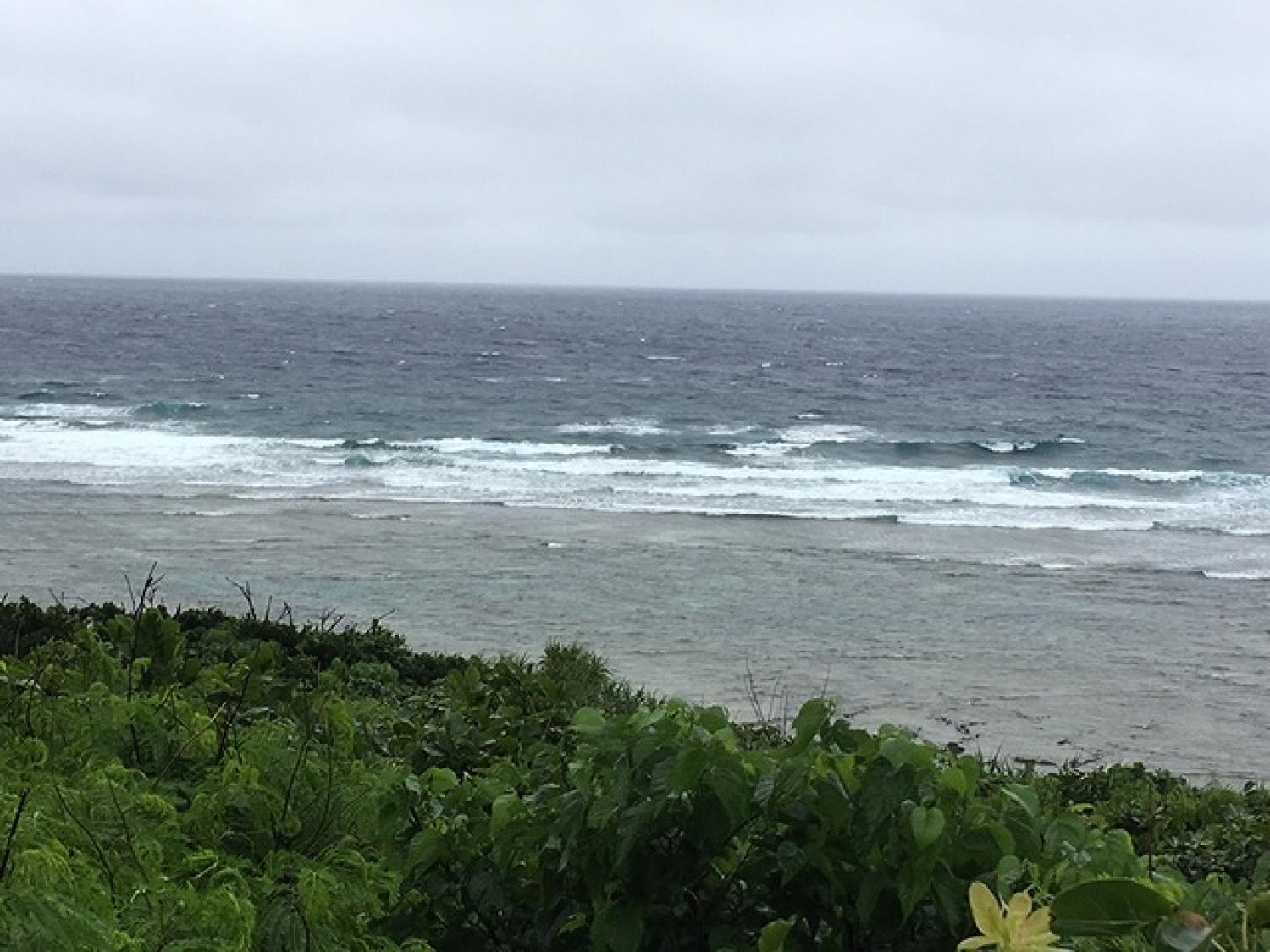 6月17日（土）スーサイド波情報 2