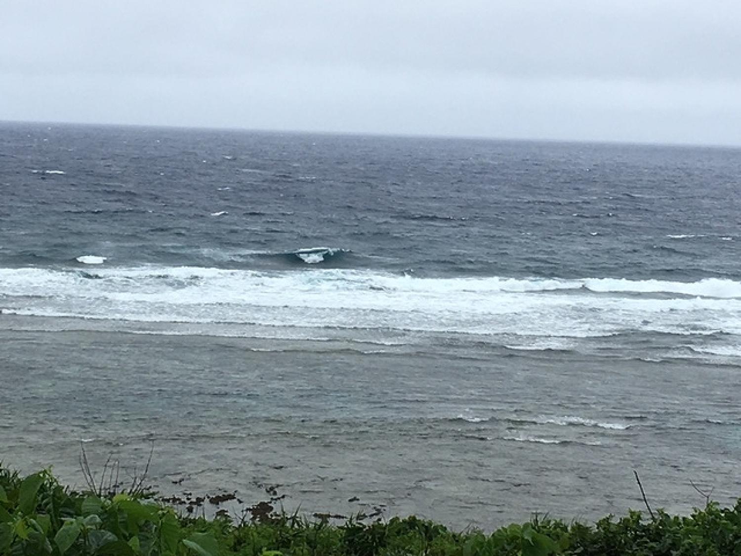 6月17日（土）スーサイド波情報 4