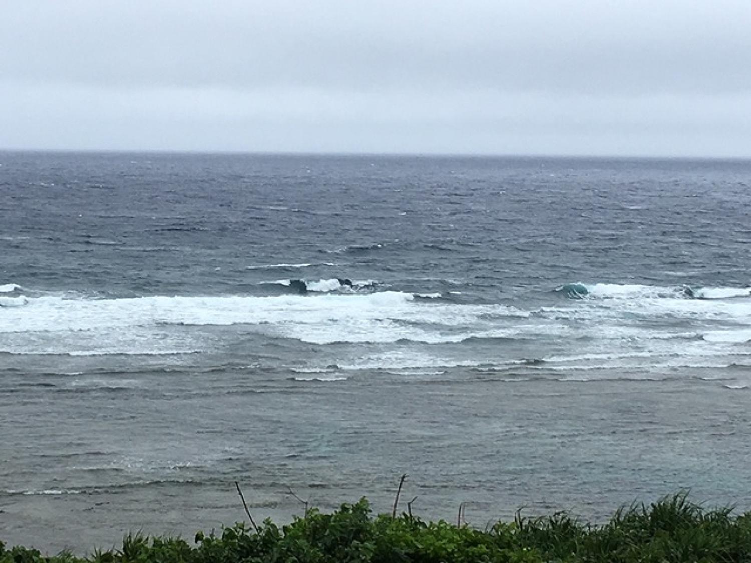 6月17日（土）スーサイド波情報 5