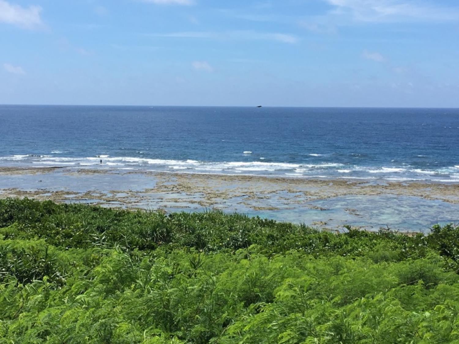 6月25日（日）スーサイド波情報