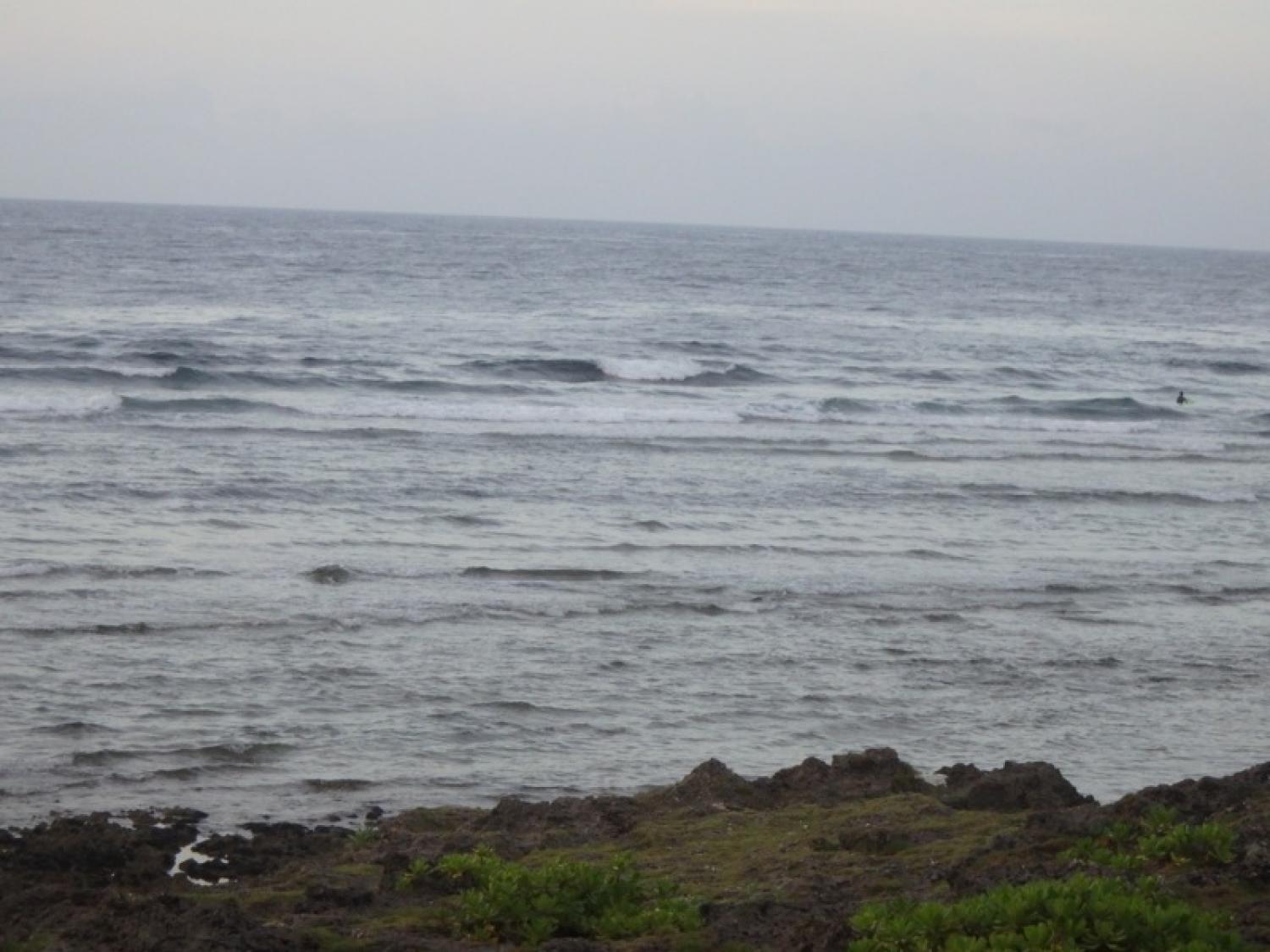 6月27日（火）スーサイド波情報 4