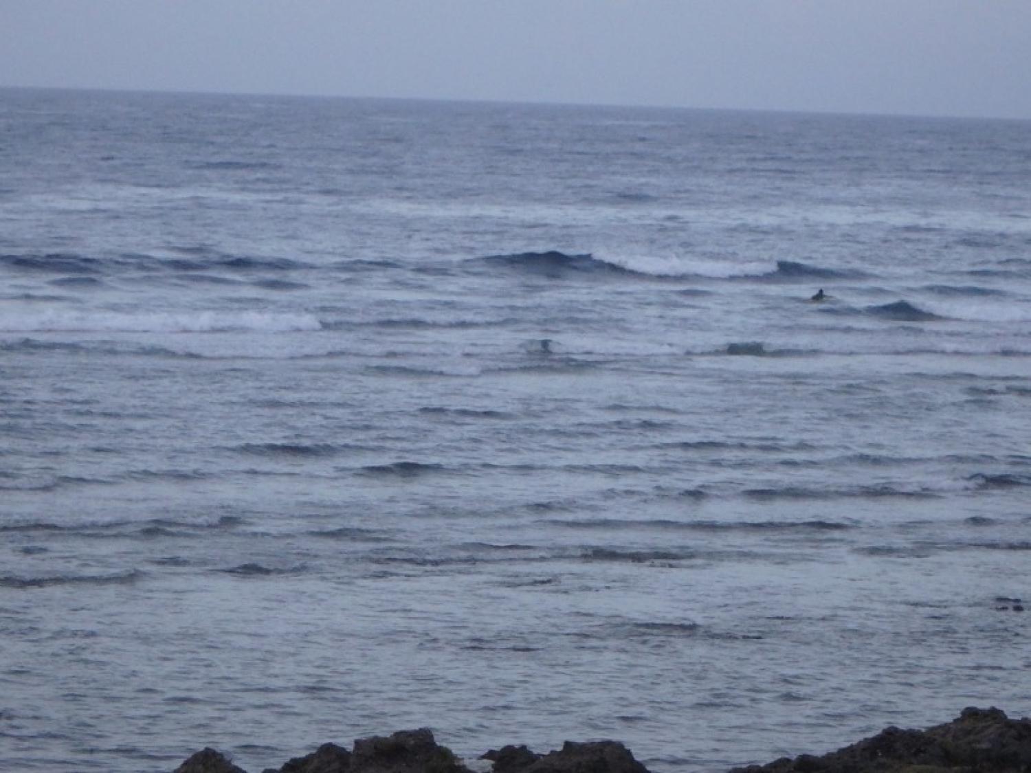 6月27日（火）スーサイド波情報 5